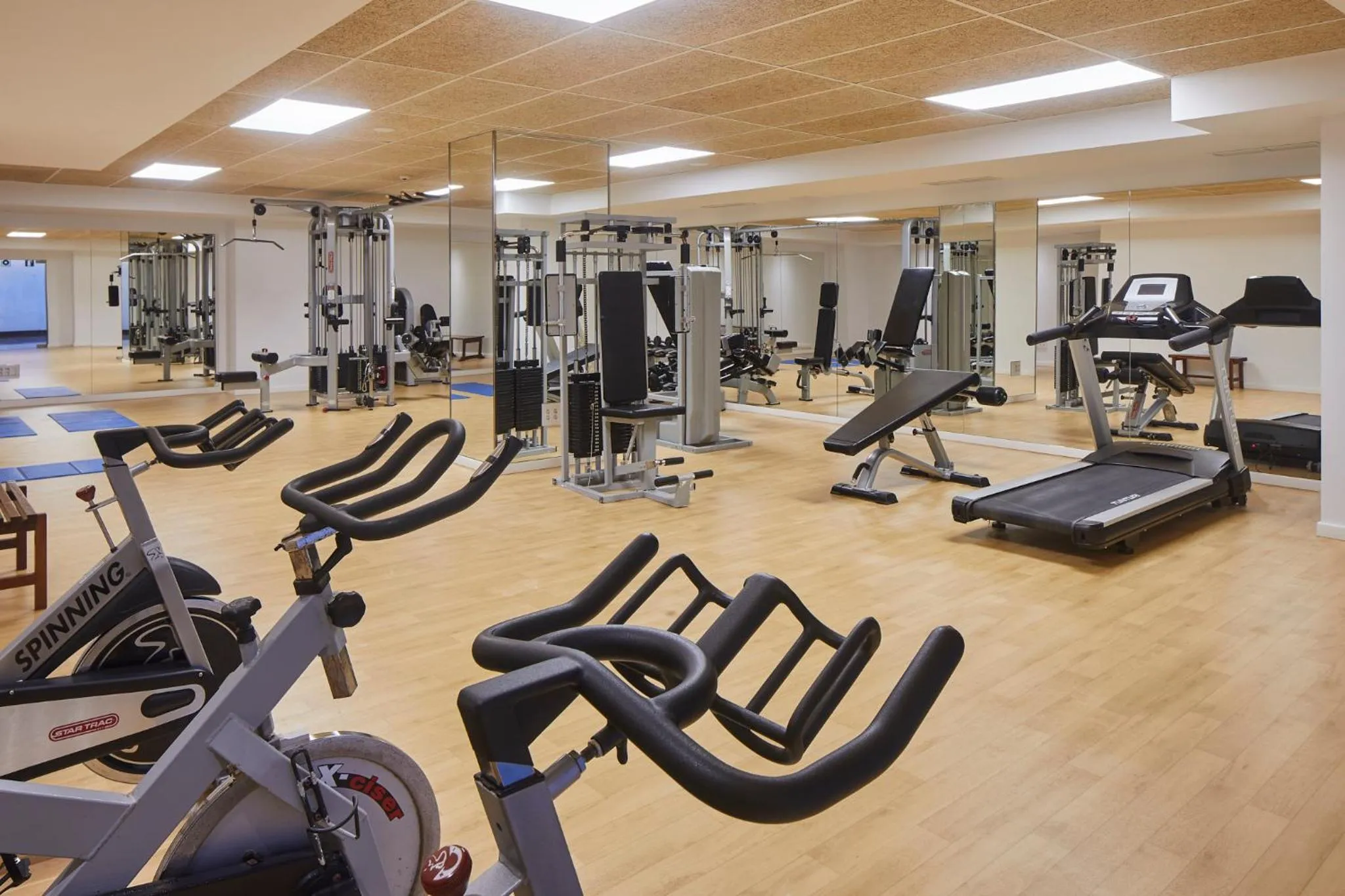 Fitness centre/facilities in Hotel Torre del Mar - Ibiza