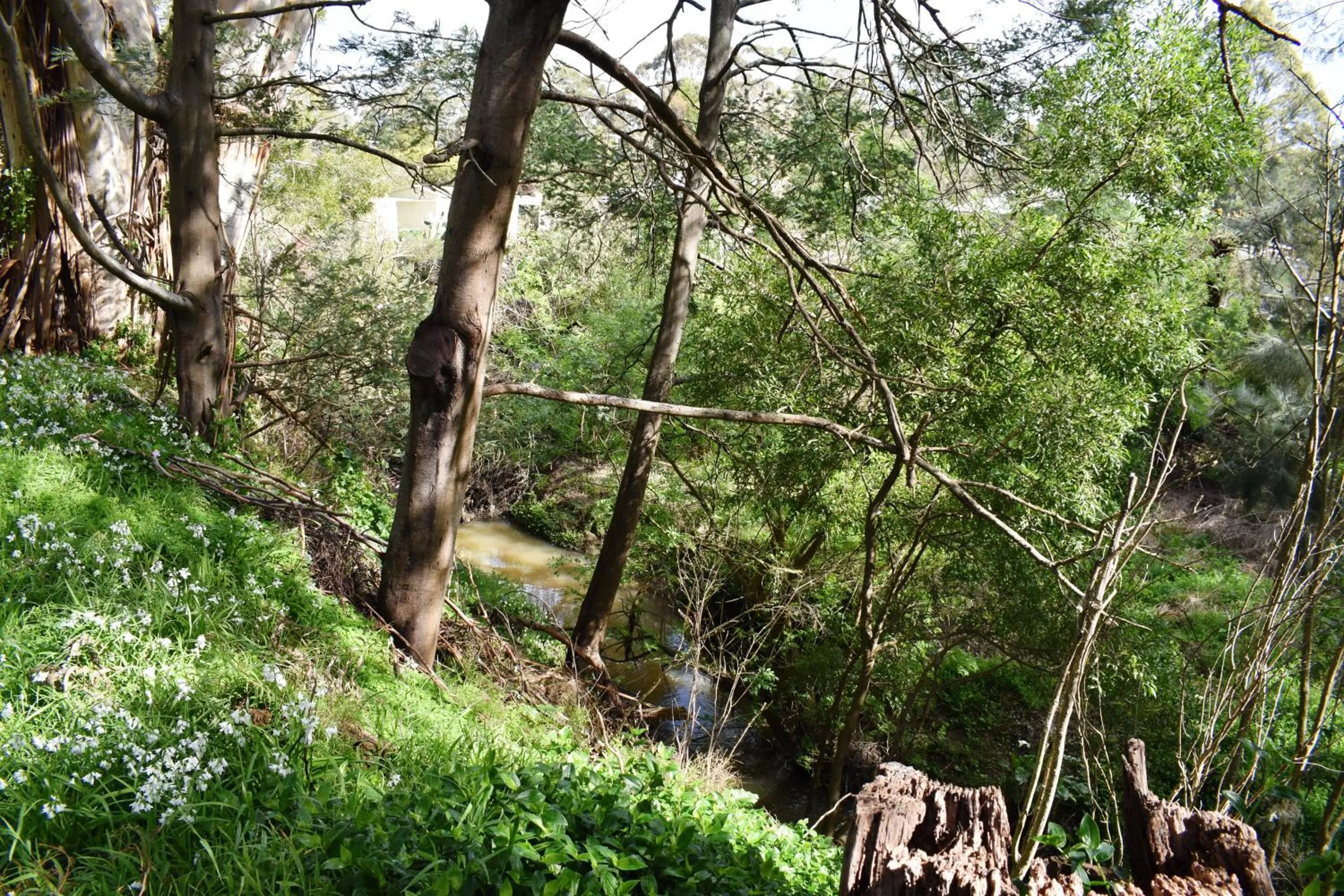 Natural landscape in Wilsons Promontory Motel