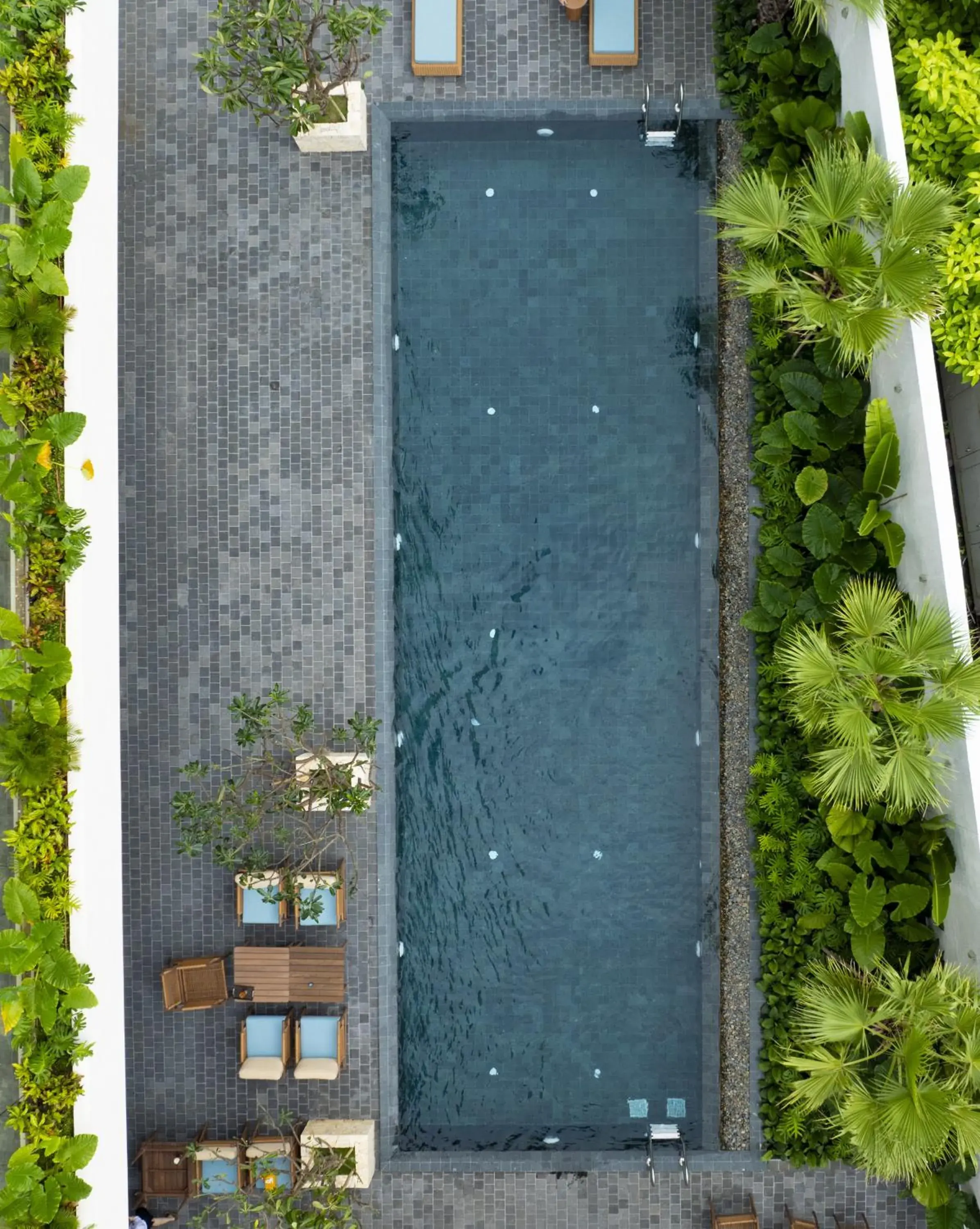 Swimming pool in Iconic Long Hai Hotel Swimming pool in Iconic Long Hai Hotel