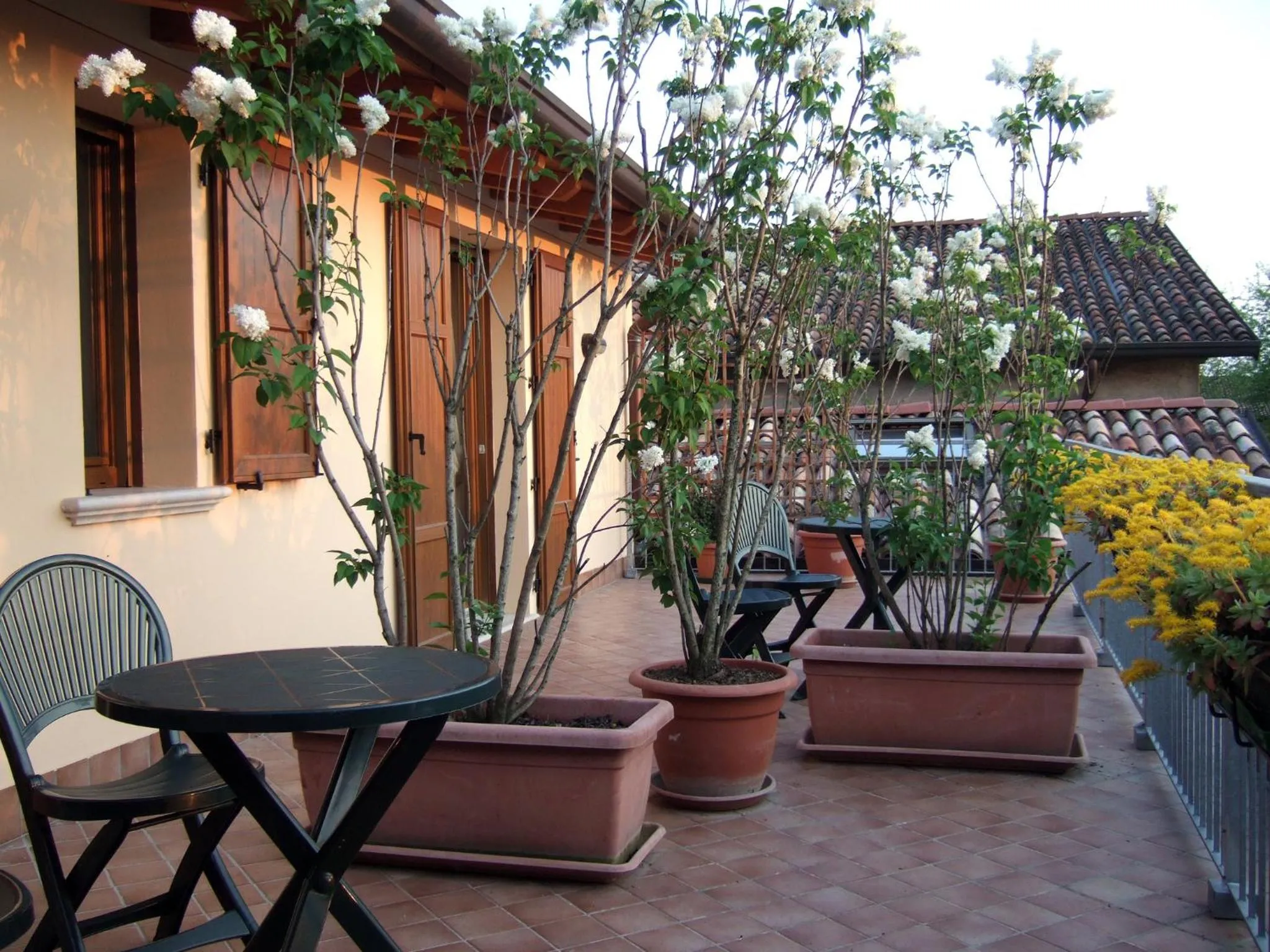 9 Muse Bed and Breakfast
