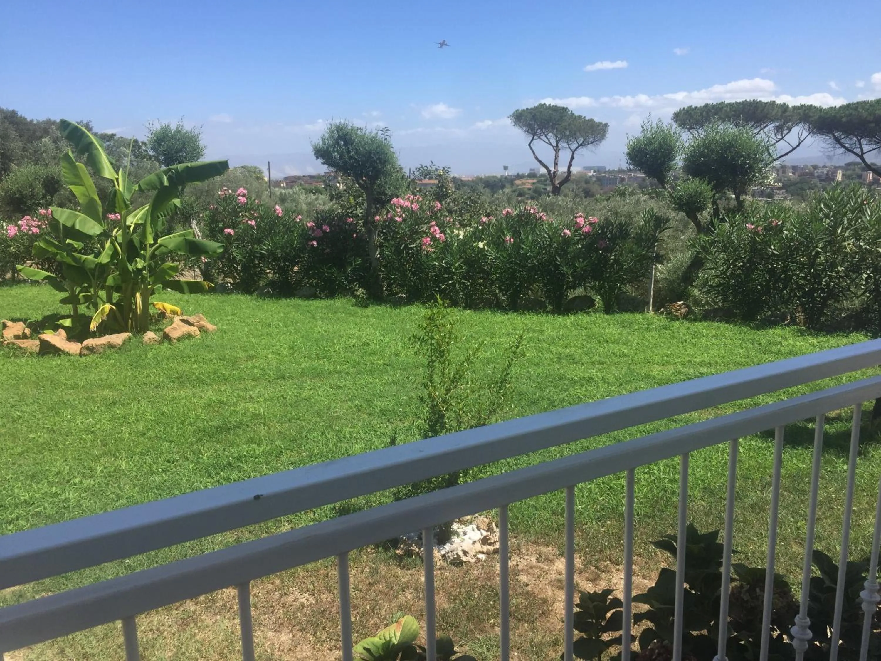 Garden in Zia Bi Bed and Breakfast