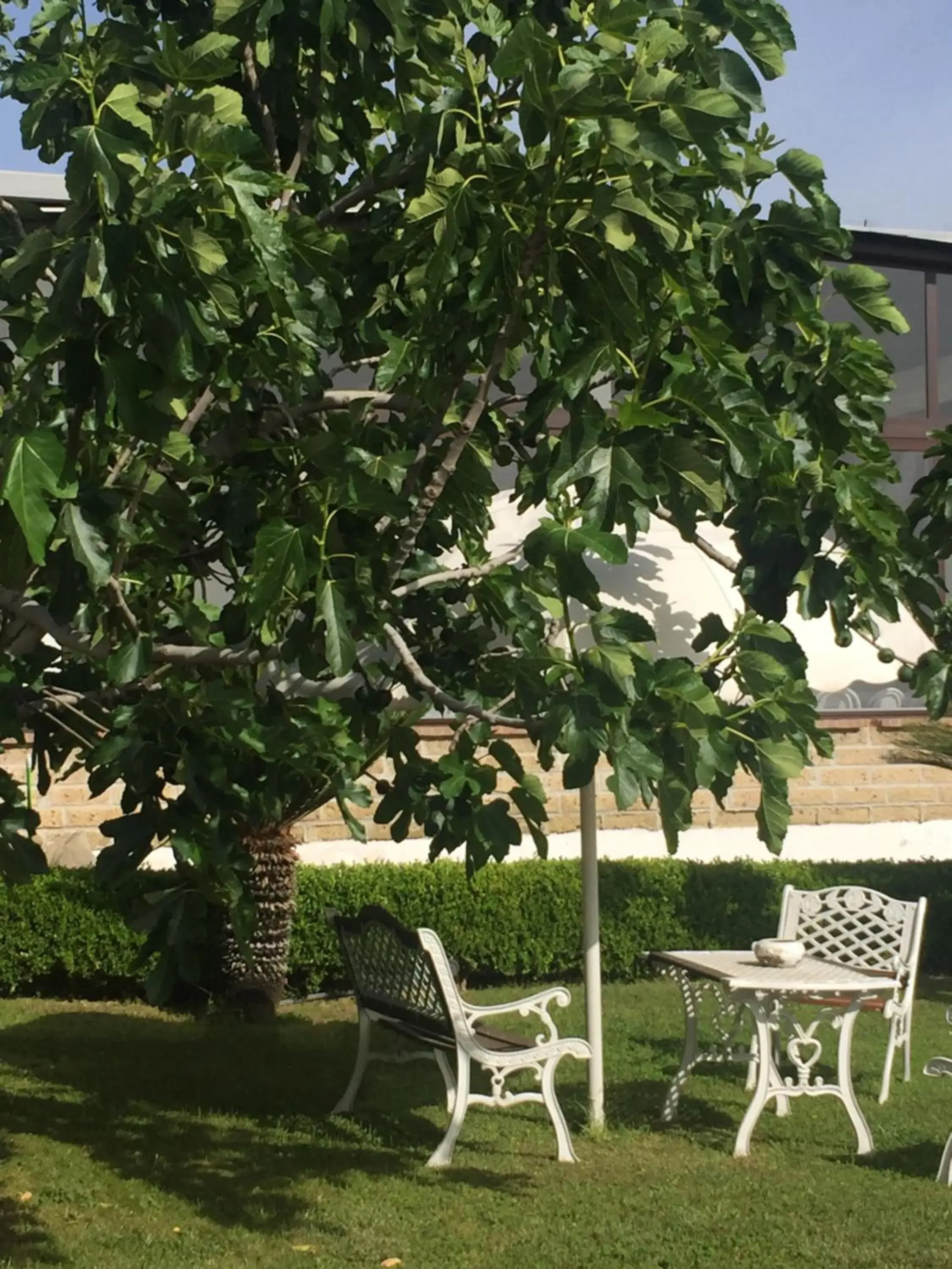 Studio with Garden View in Zia Bi Bed and Breakfast Studio with Garden View in Zia Bi Bed and Breakfast