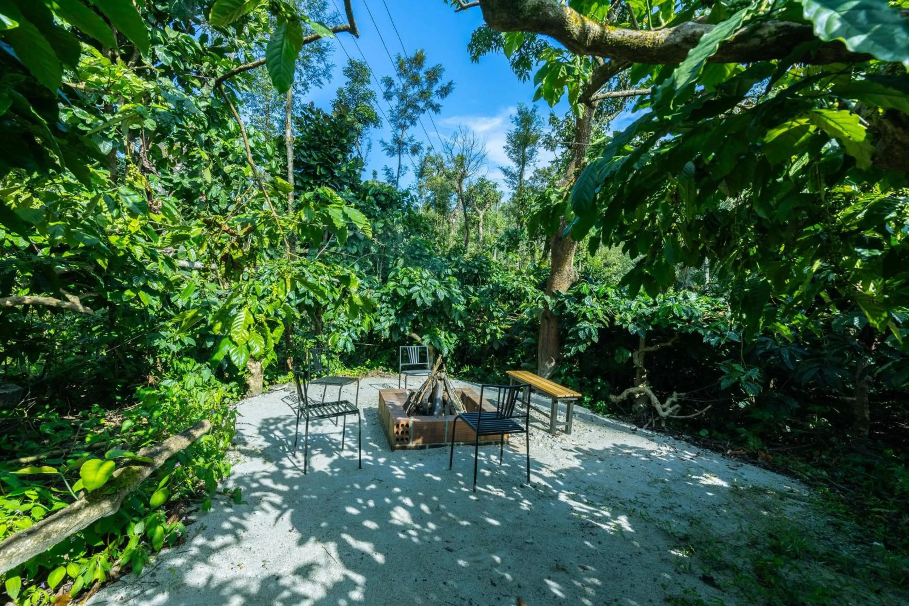 fireplace in Treebo River View