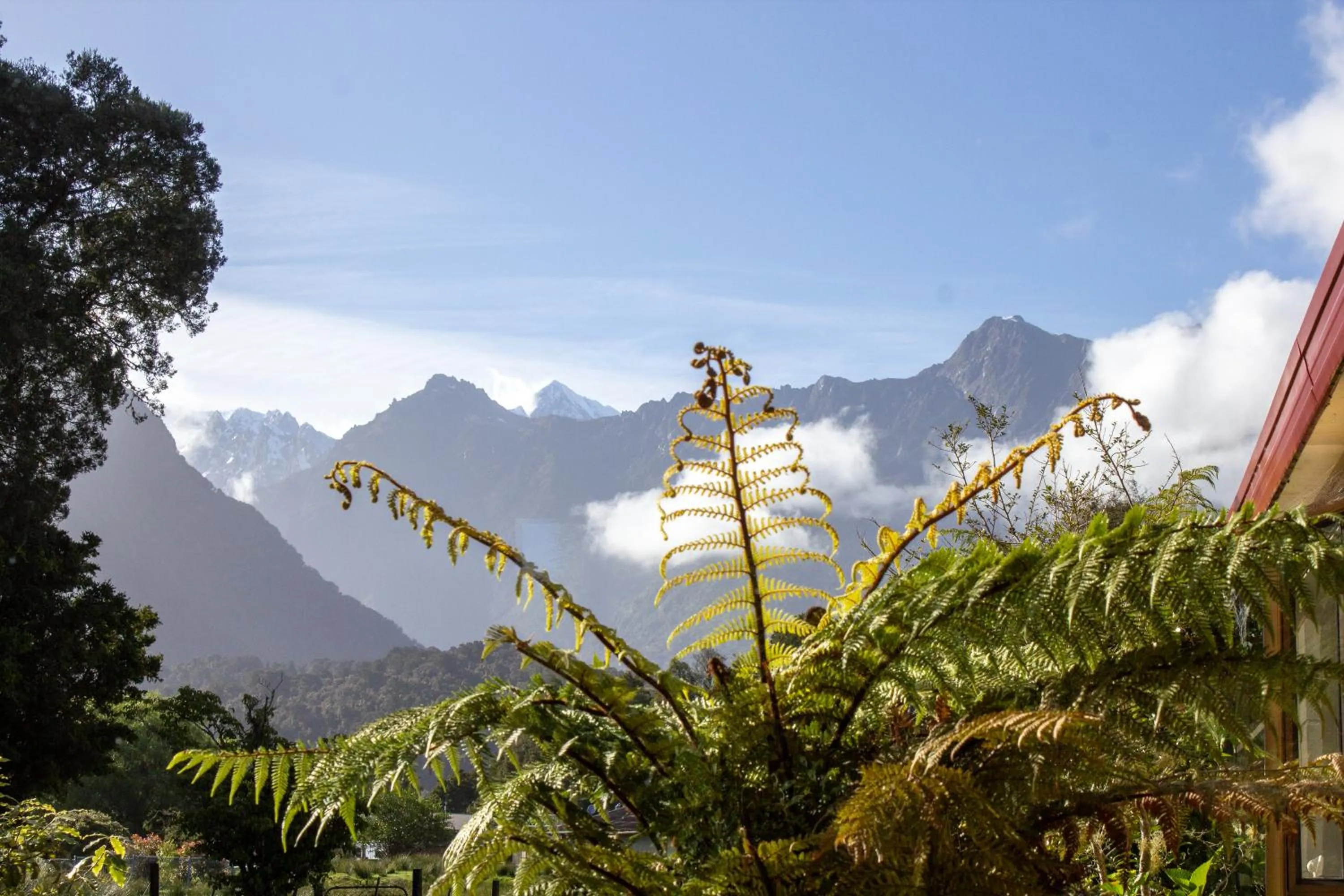 Natural landscape in Ropatinis Bed & Breakfast