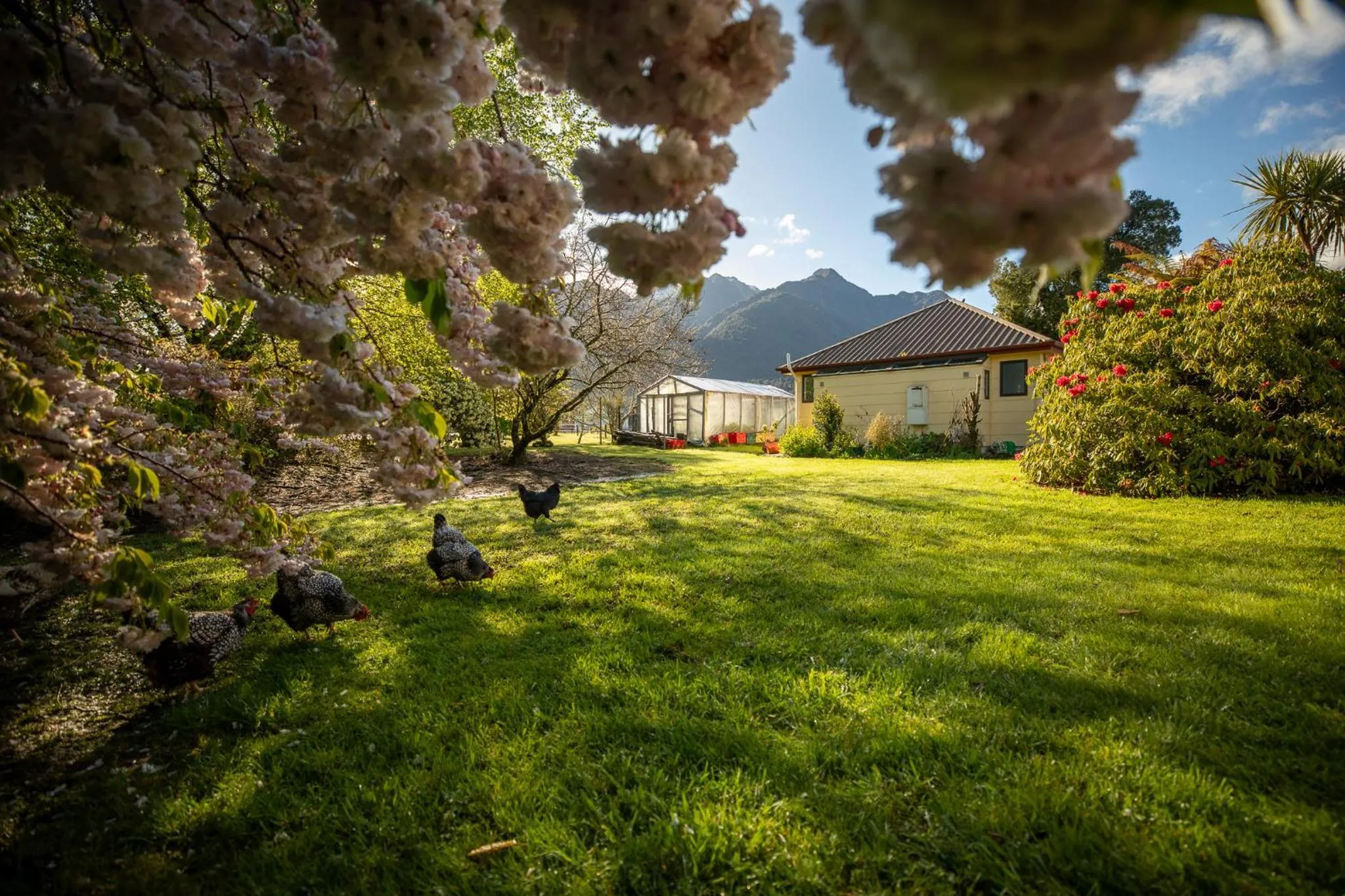 Property building in Ropatinis Bed & Breakfast