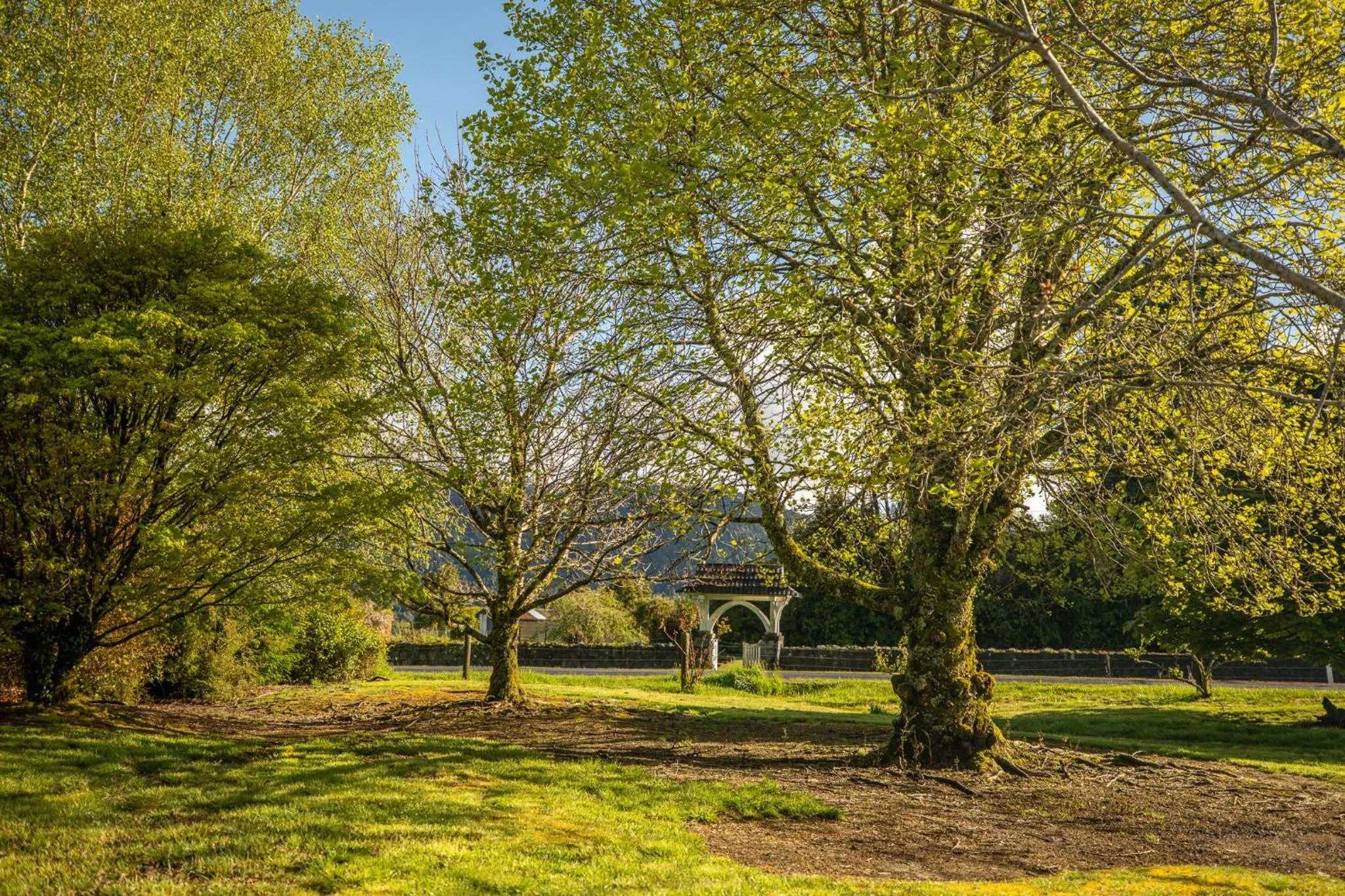 Spring in Ropatinis Bed & Breakfast