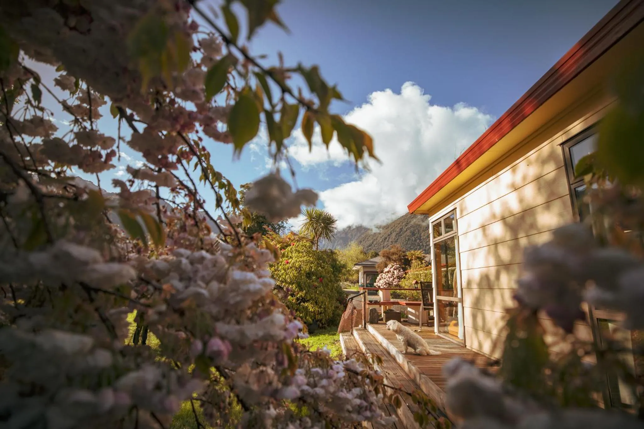 Property building in Ropatinis Bed & Breakfast