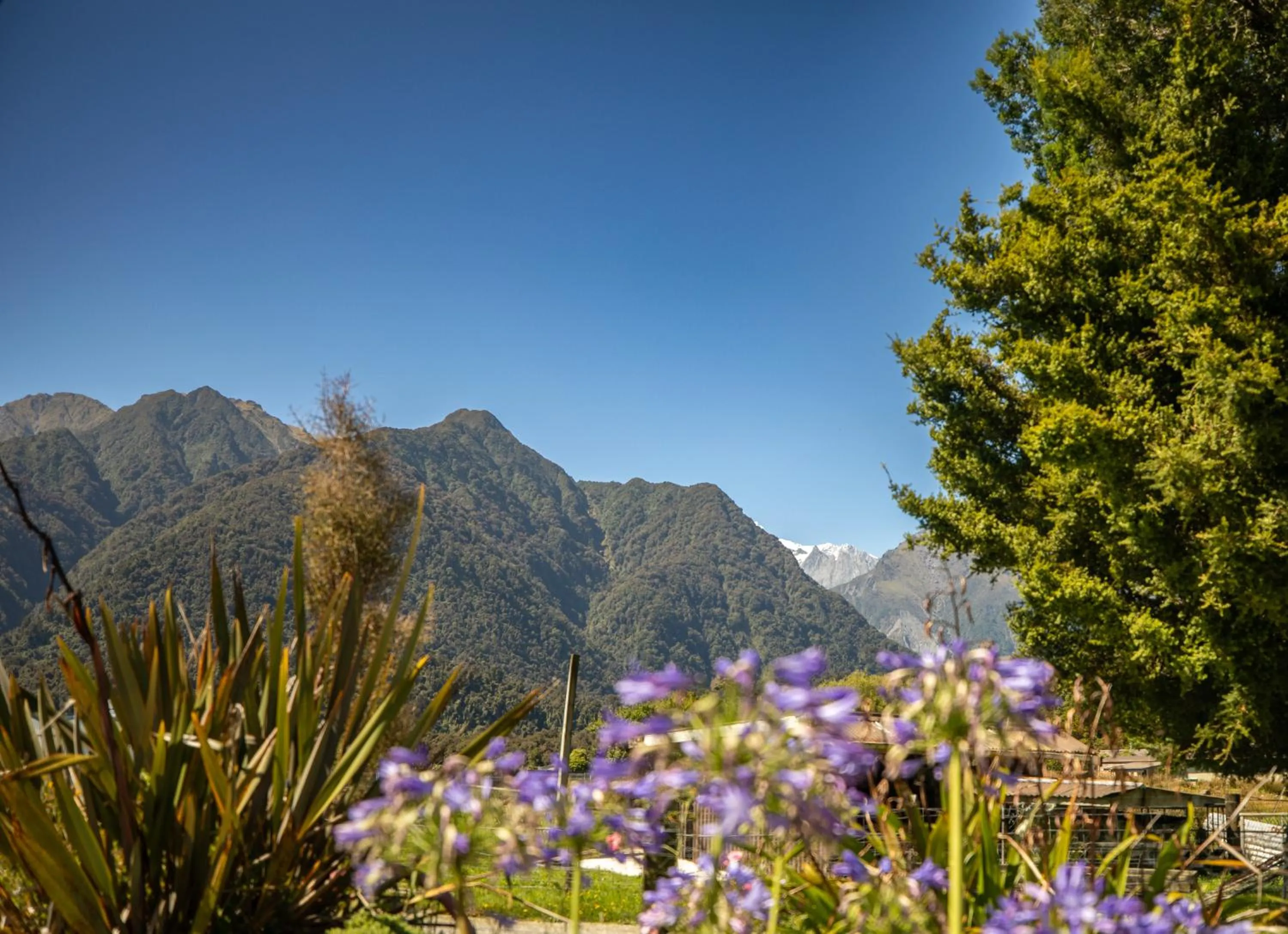Mountain view in Ropatinis Bed & Breakfast