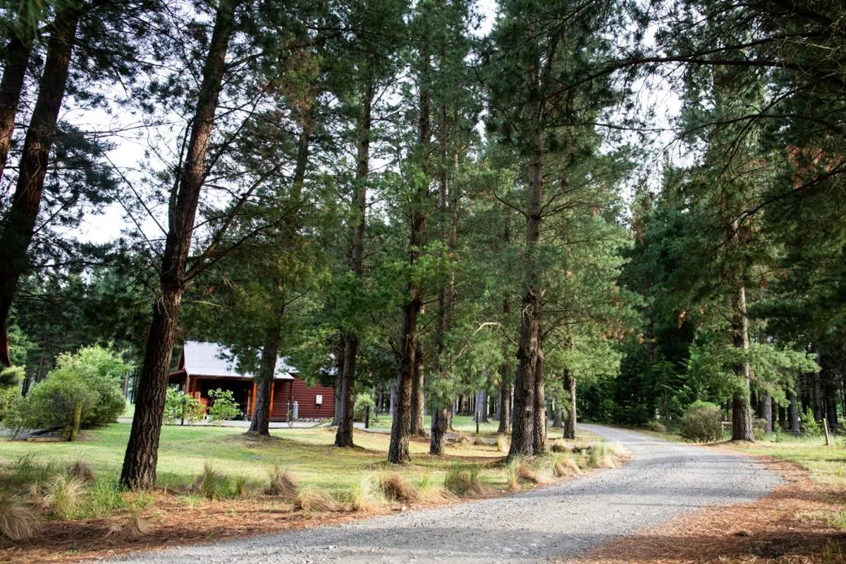 Natural landscape in Woodbank Park Cottages