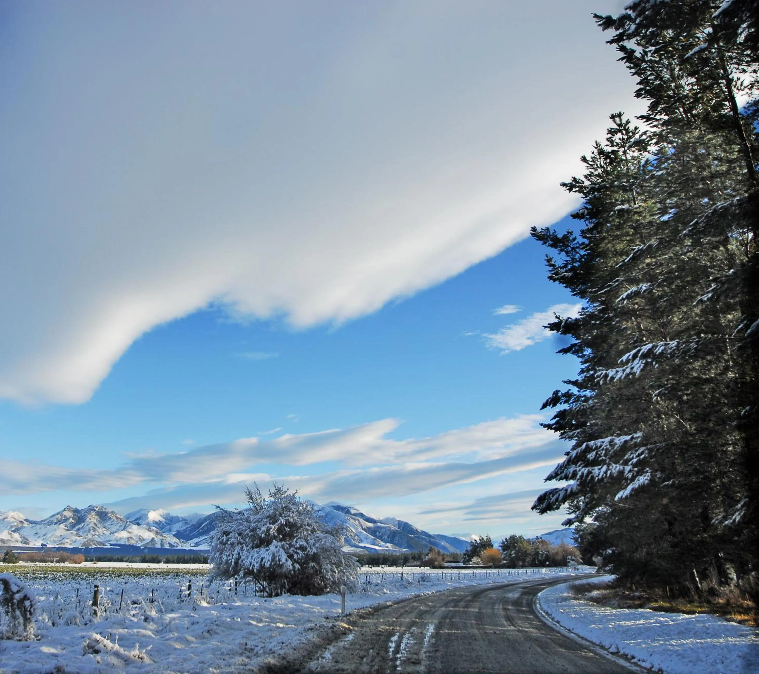 Winter in Woodbank Park Cottages