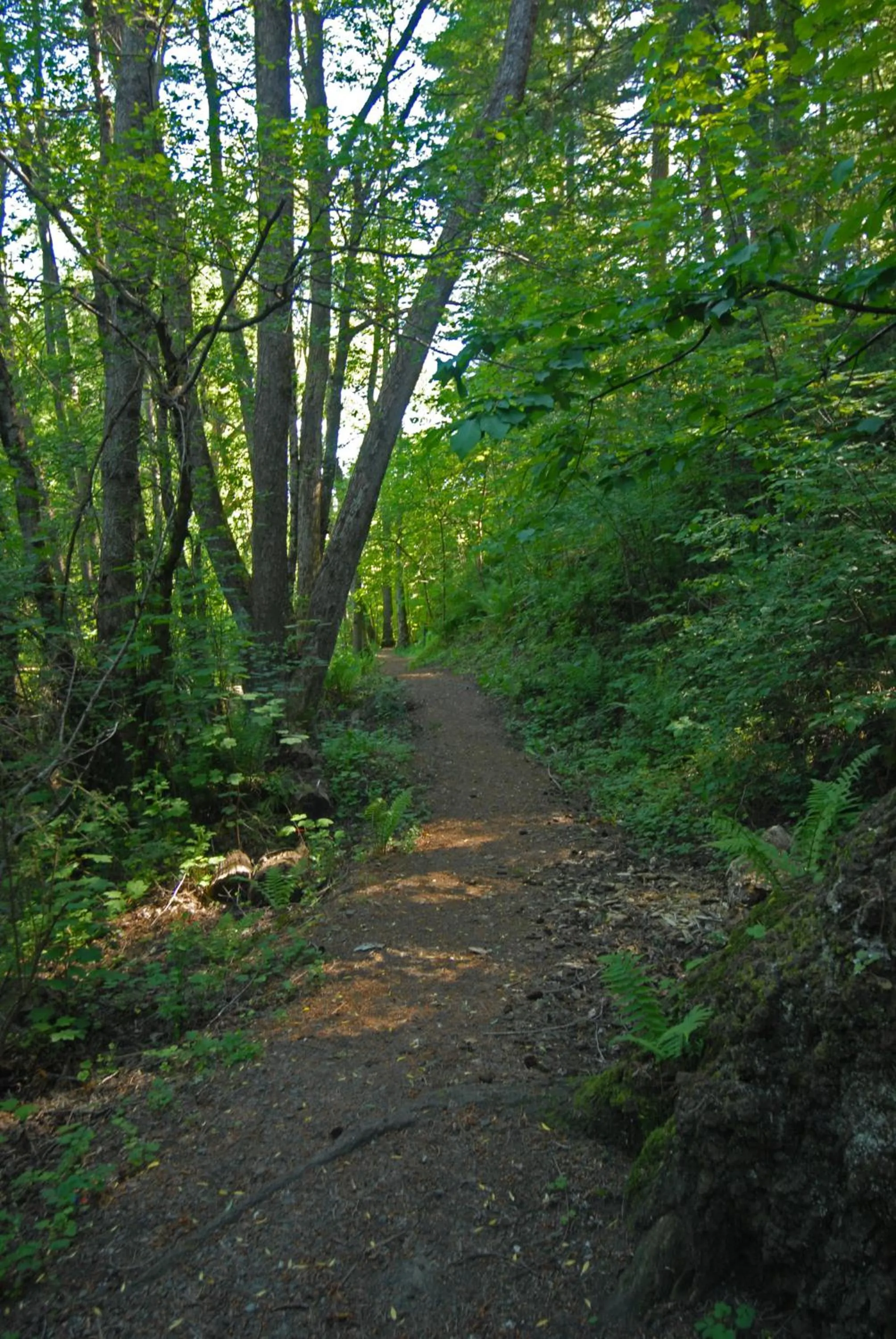 Hiking in Woodbank Park Cottages