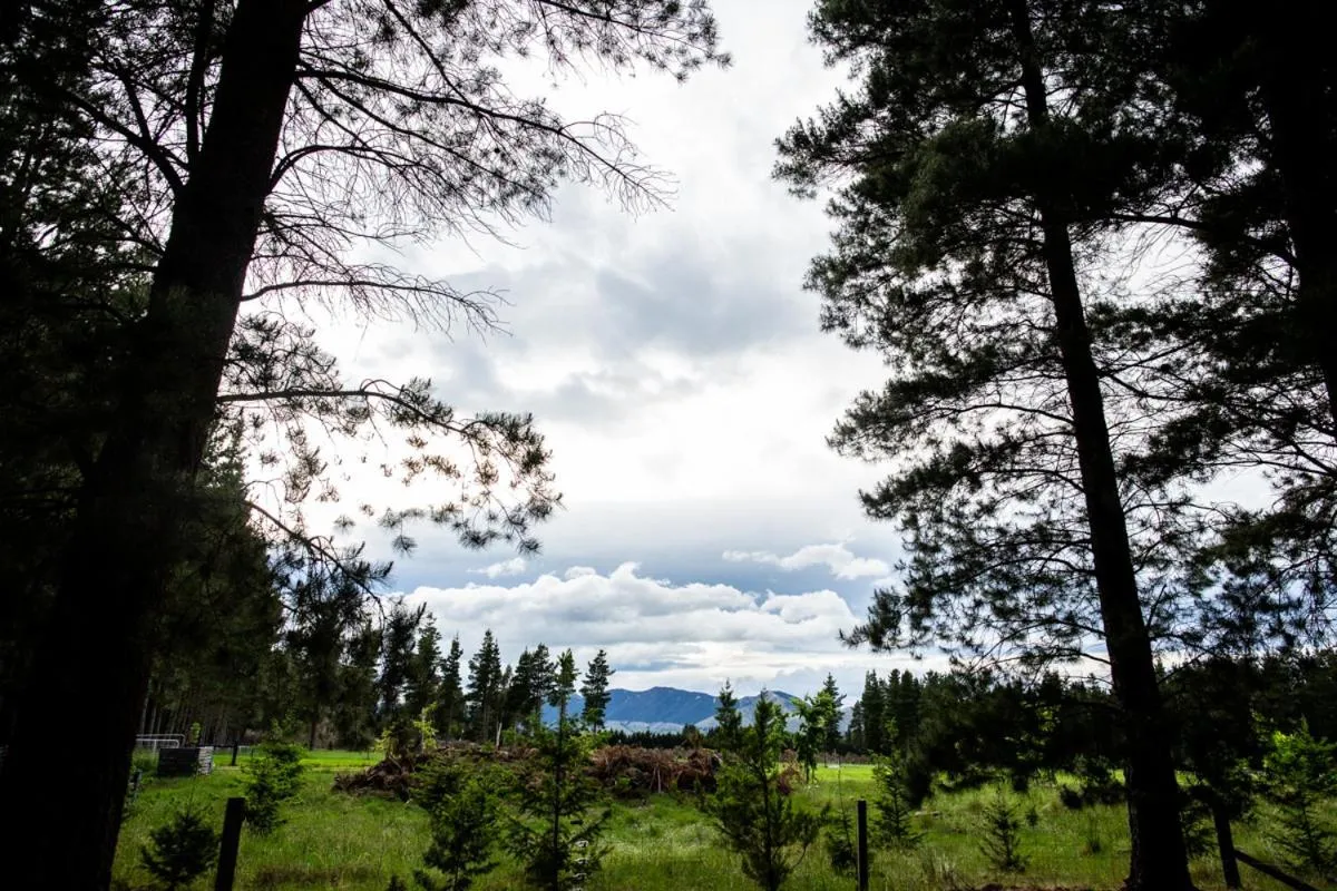 Natural landscape in Woodbank Park Cottages