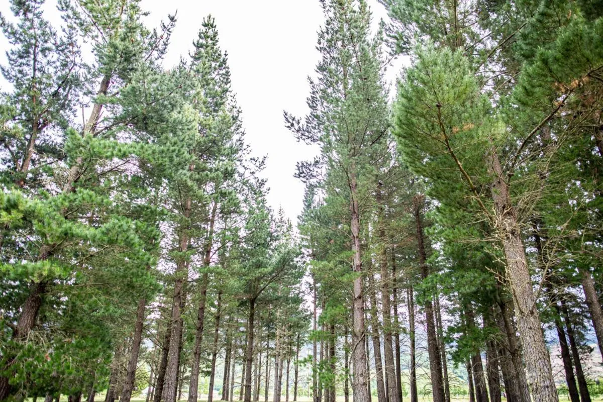 Natural landscape in Woodbank Park Cottages