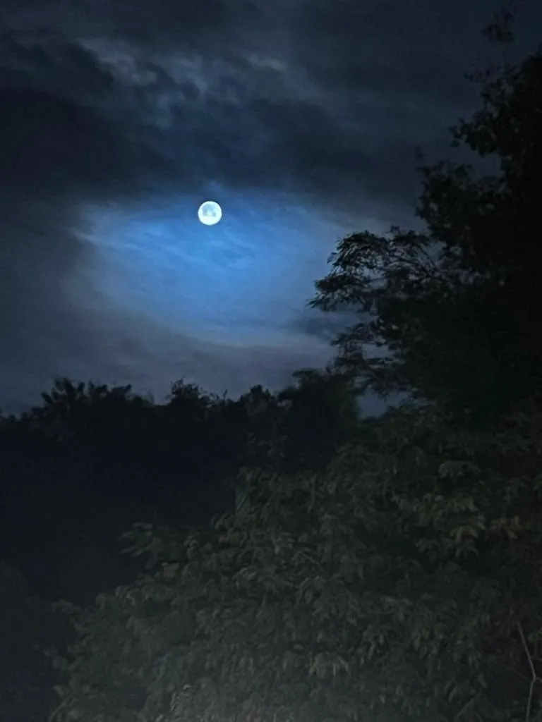 Property building in Costa del Sol Iguazú Suites