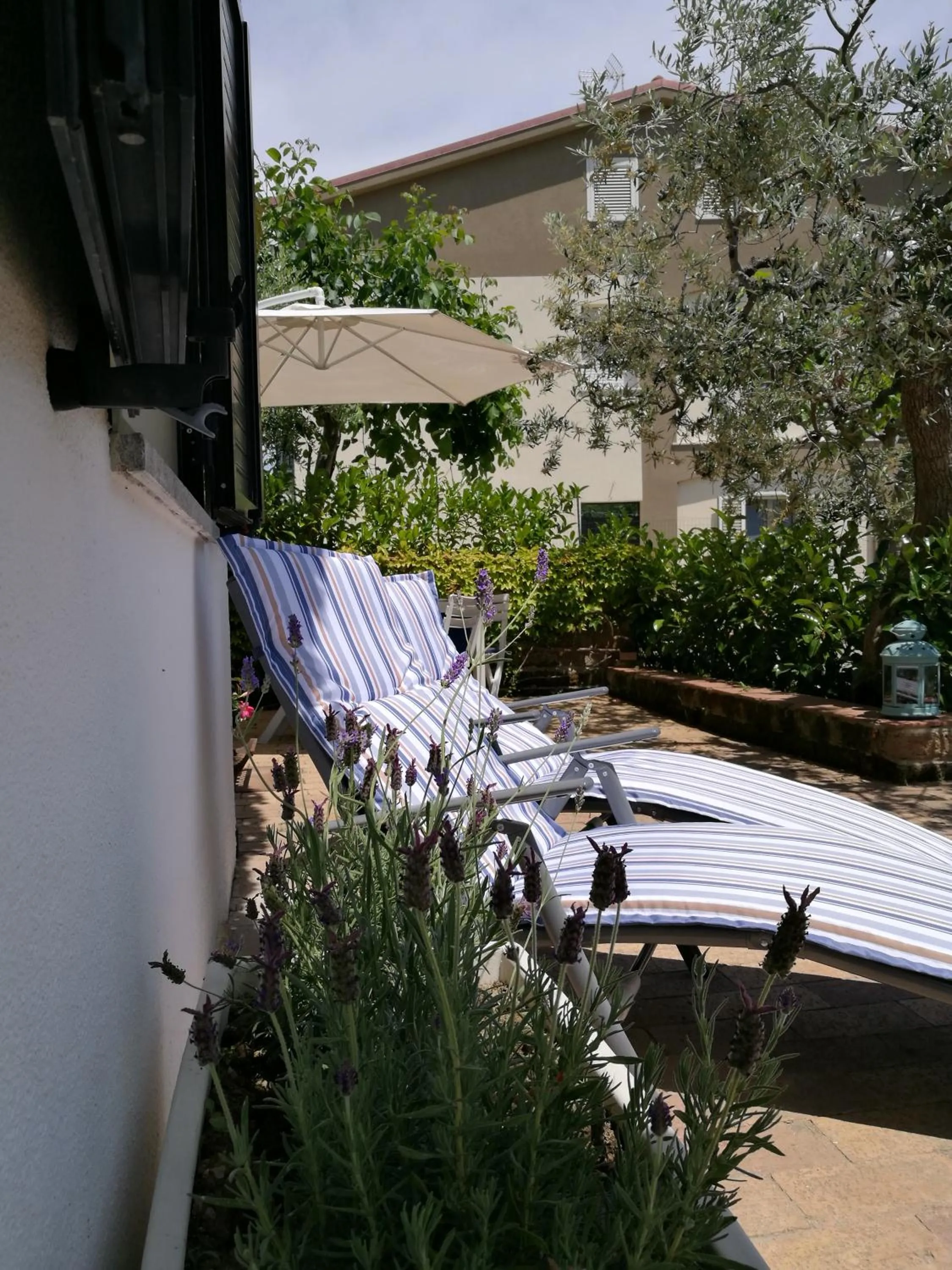 Patio in Villa Rosaria