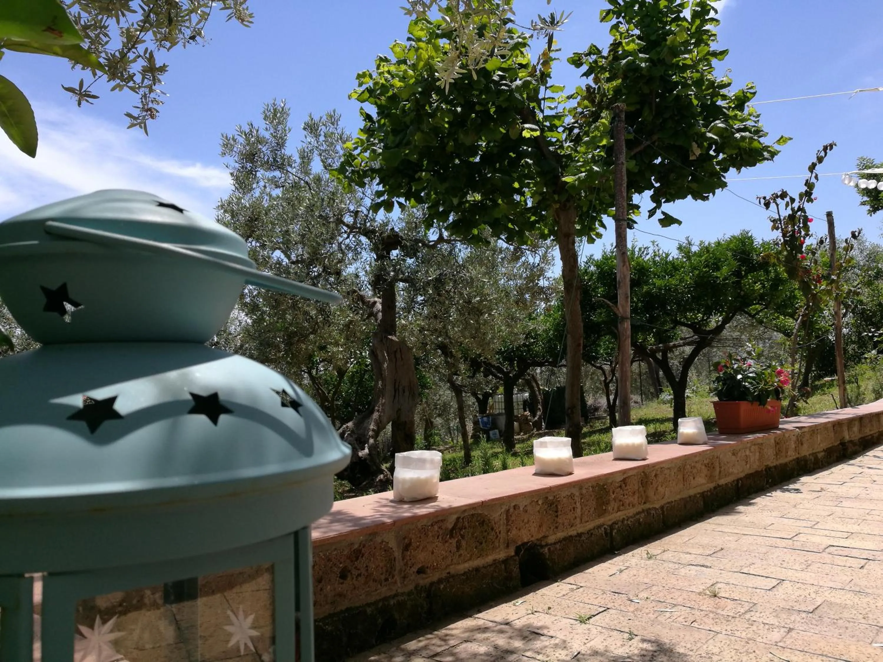 Garden view in Villa Rosaria