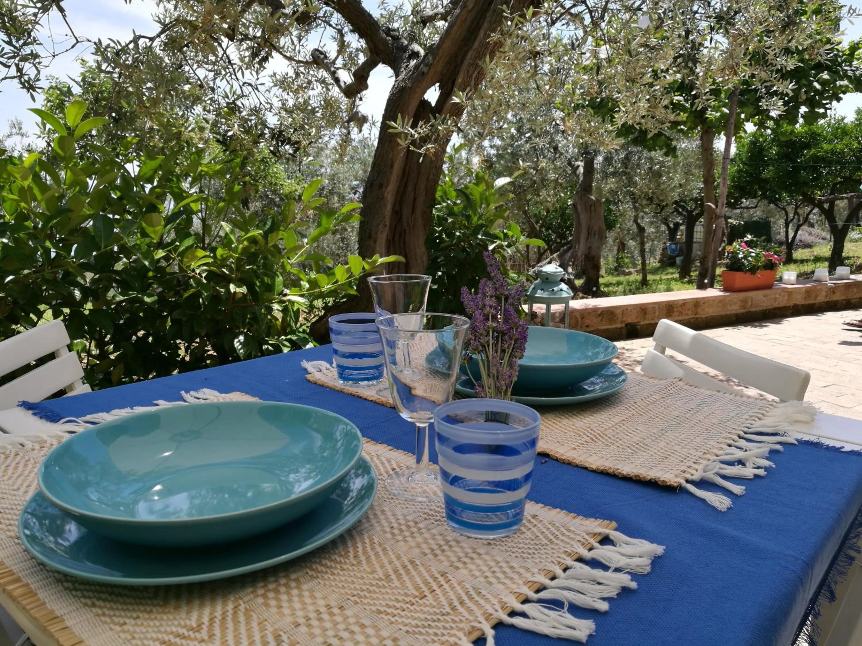 Garden view in Villa Rosaria