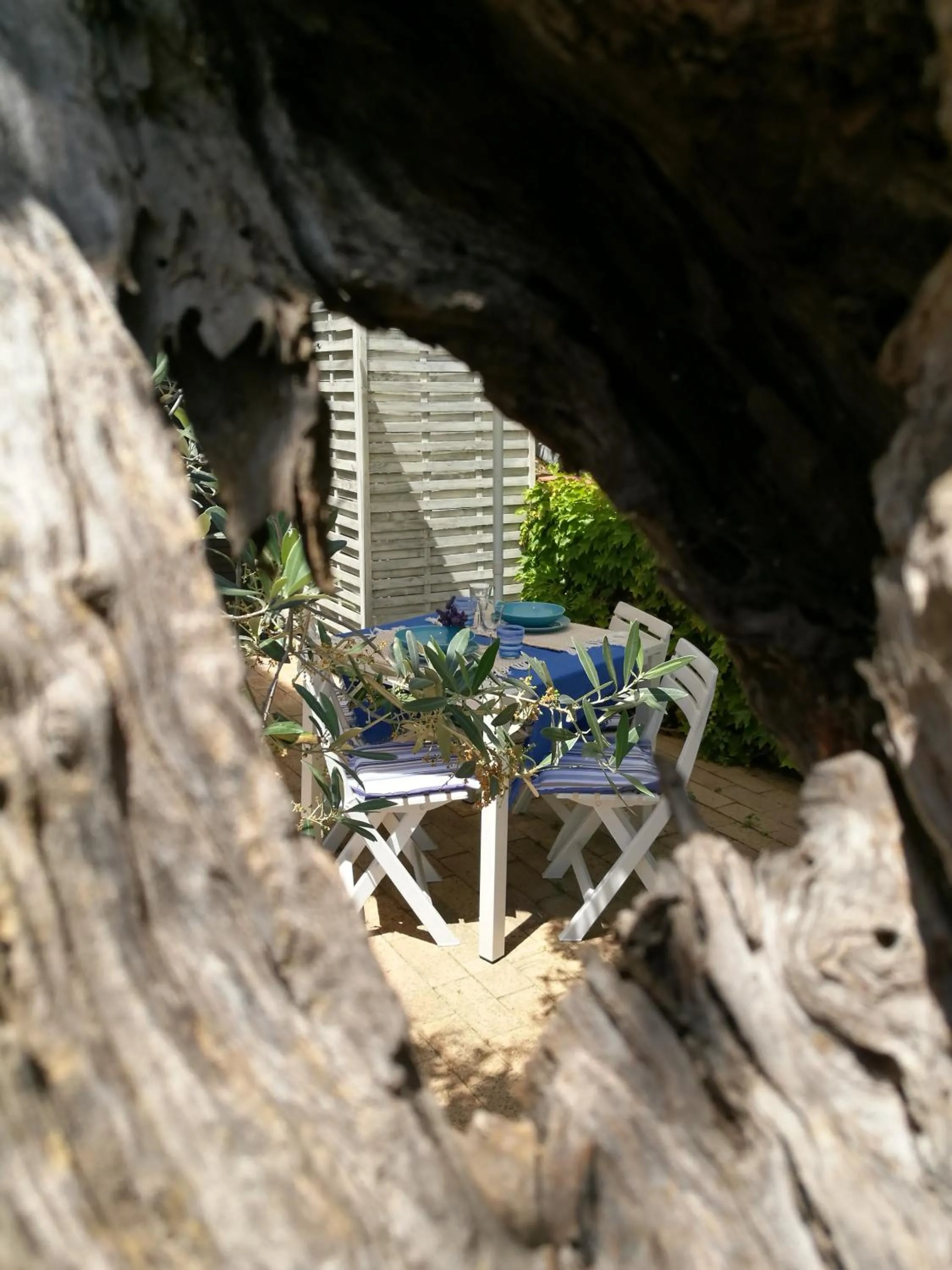 Patio in Villa Rosaria