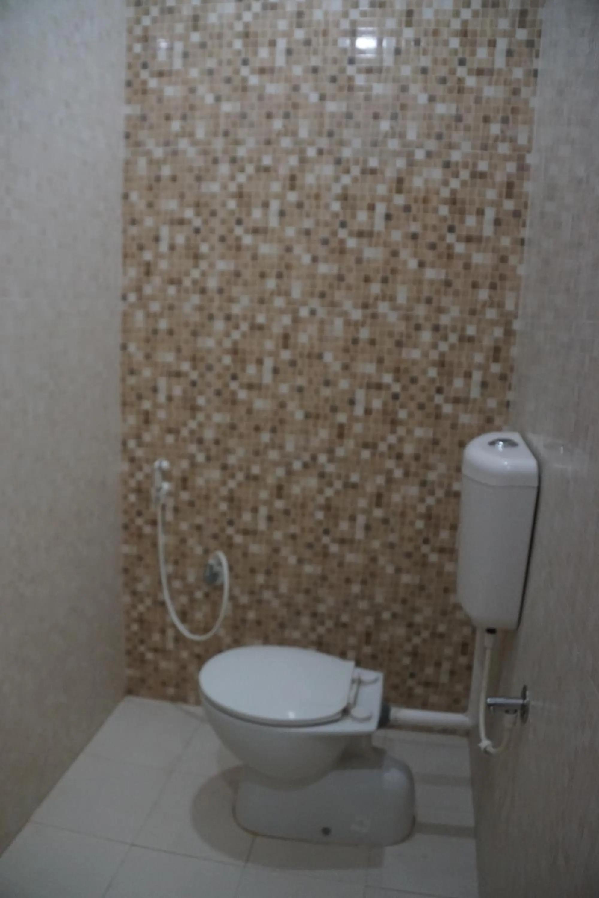 Toilet in Subhash Hotel