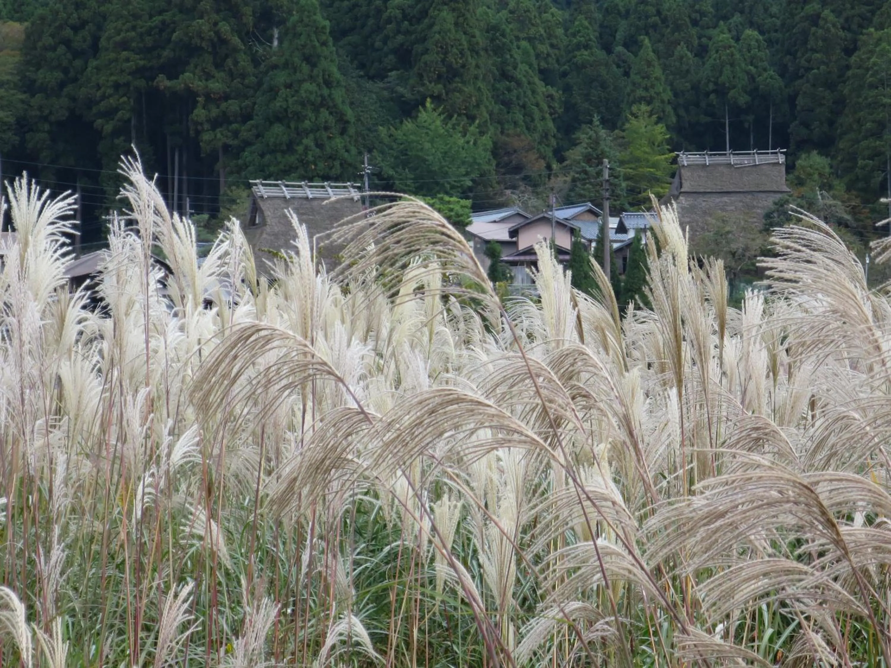 Autumn in Miyama Nature and Culture Village Kajikaso