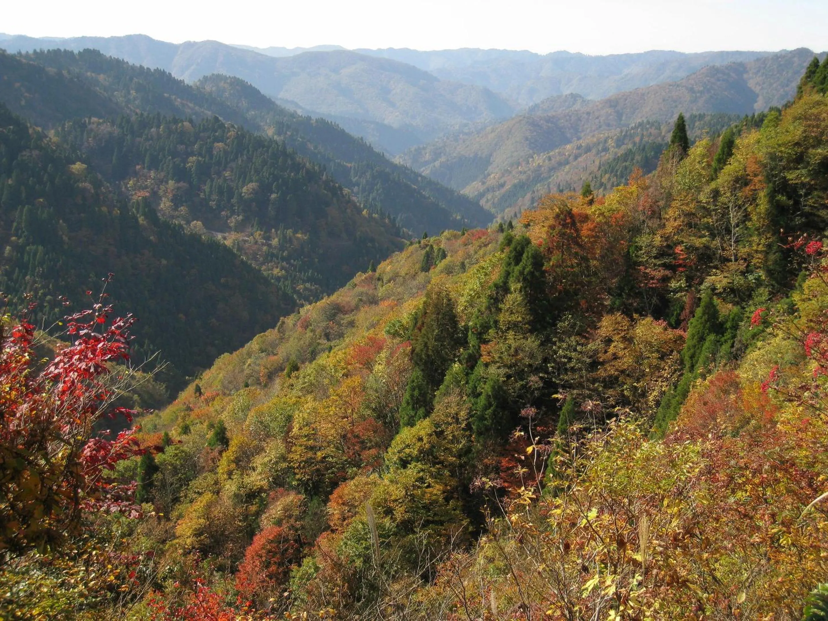 Off site in Miyama Nature and Culture Village Kajikaso