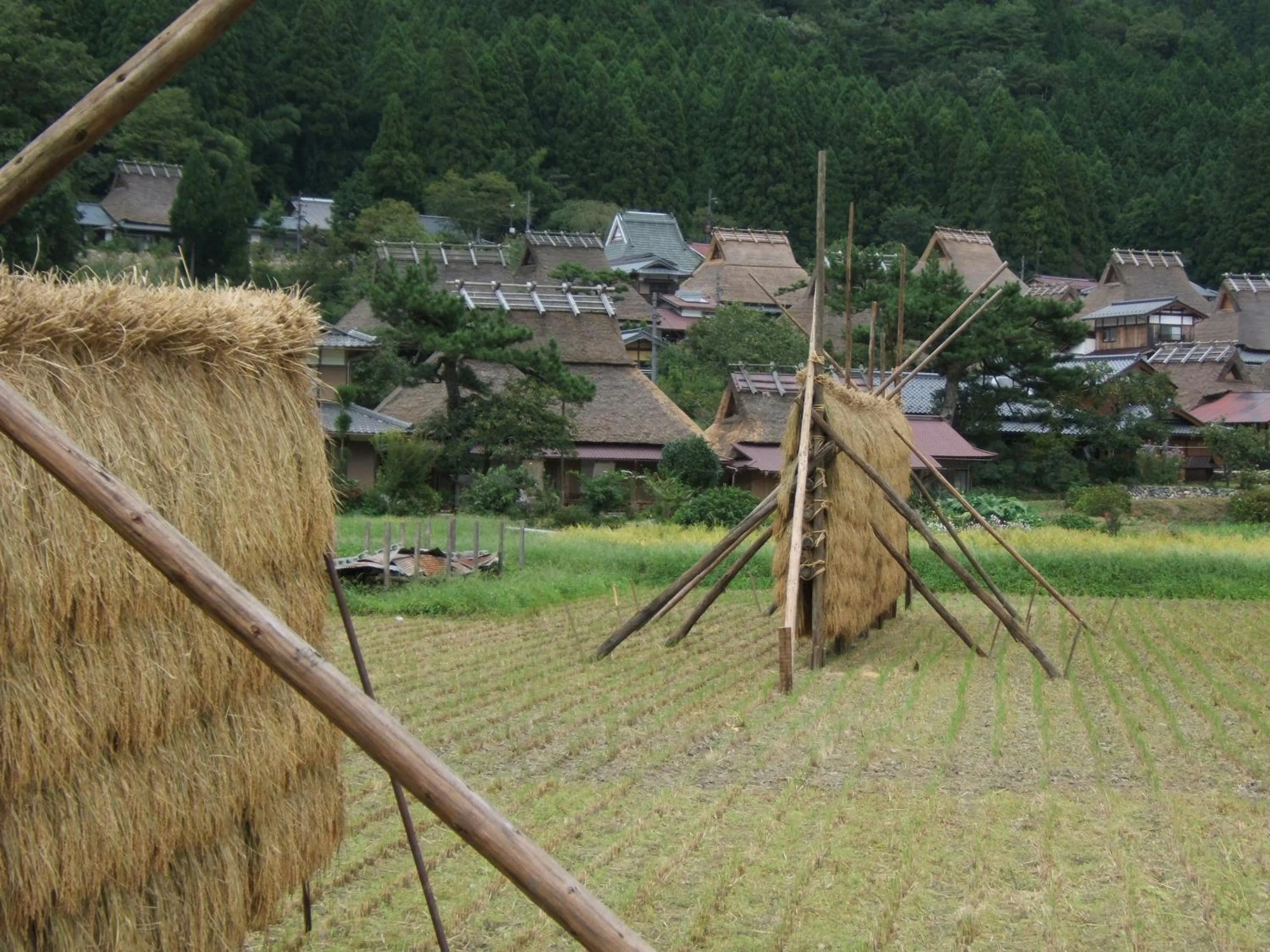 Off site in Miyama Nature and Culture Village Kajikaso