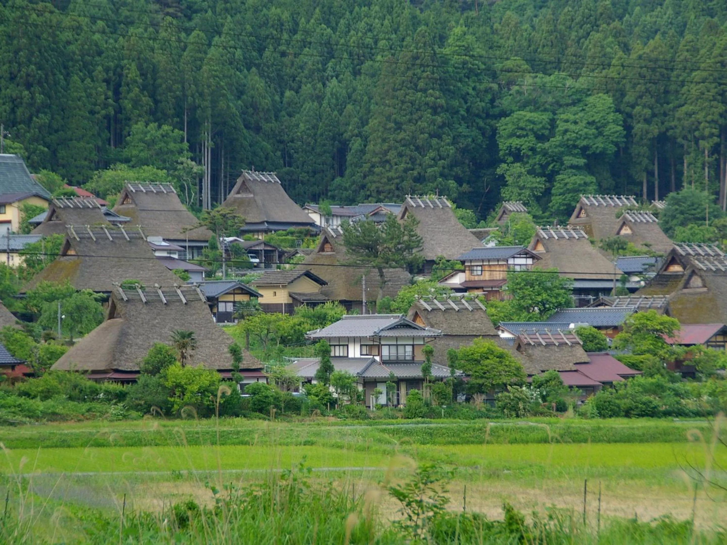 Off site in Miyama Nature and Culture Village Kajikaso
