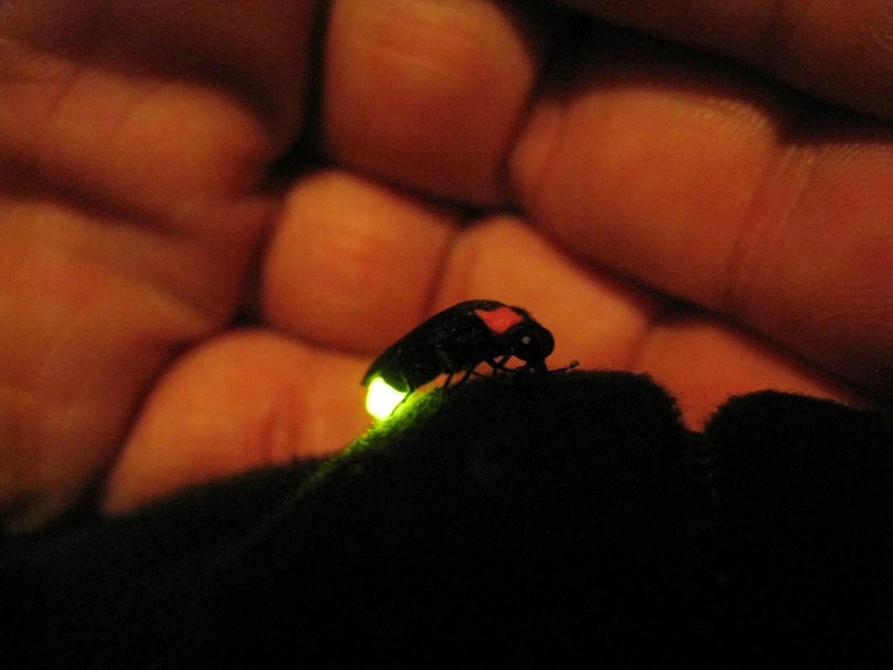 Off site in Miyama Nature and Culture Village Kajikaso