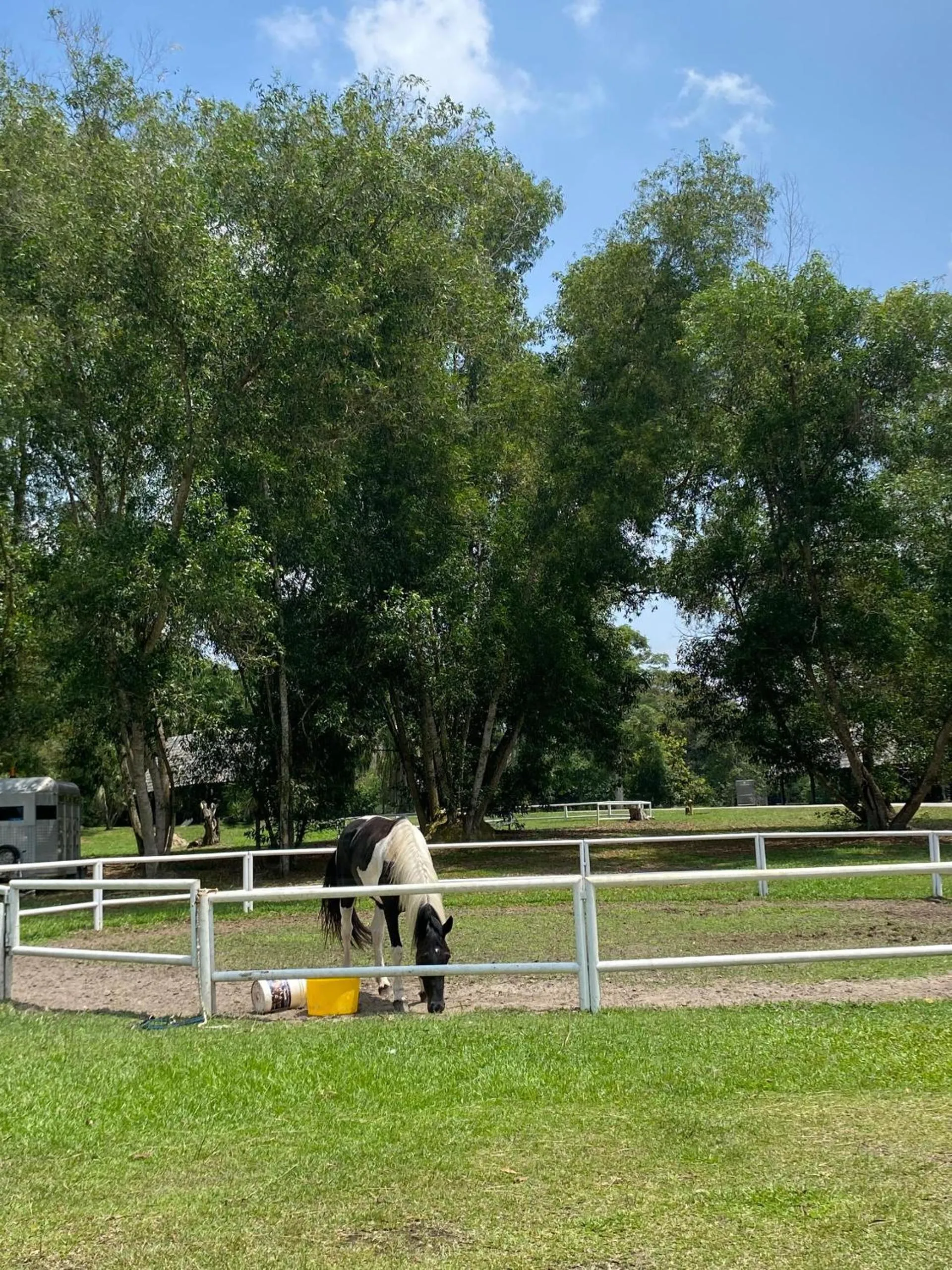 Horse-riding in SplashMania Gamuda Cove