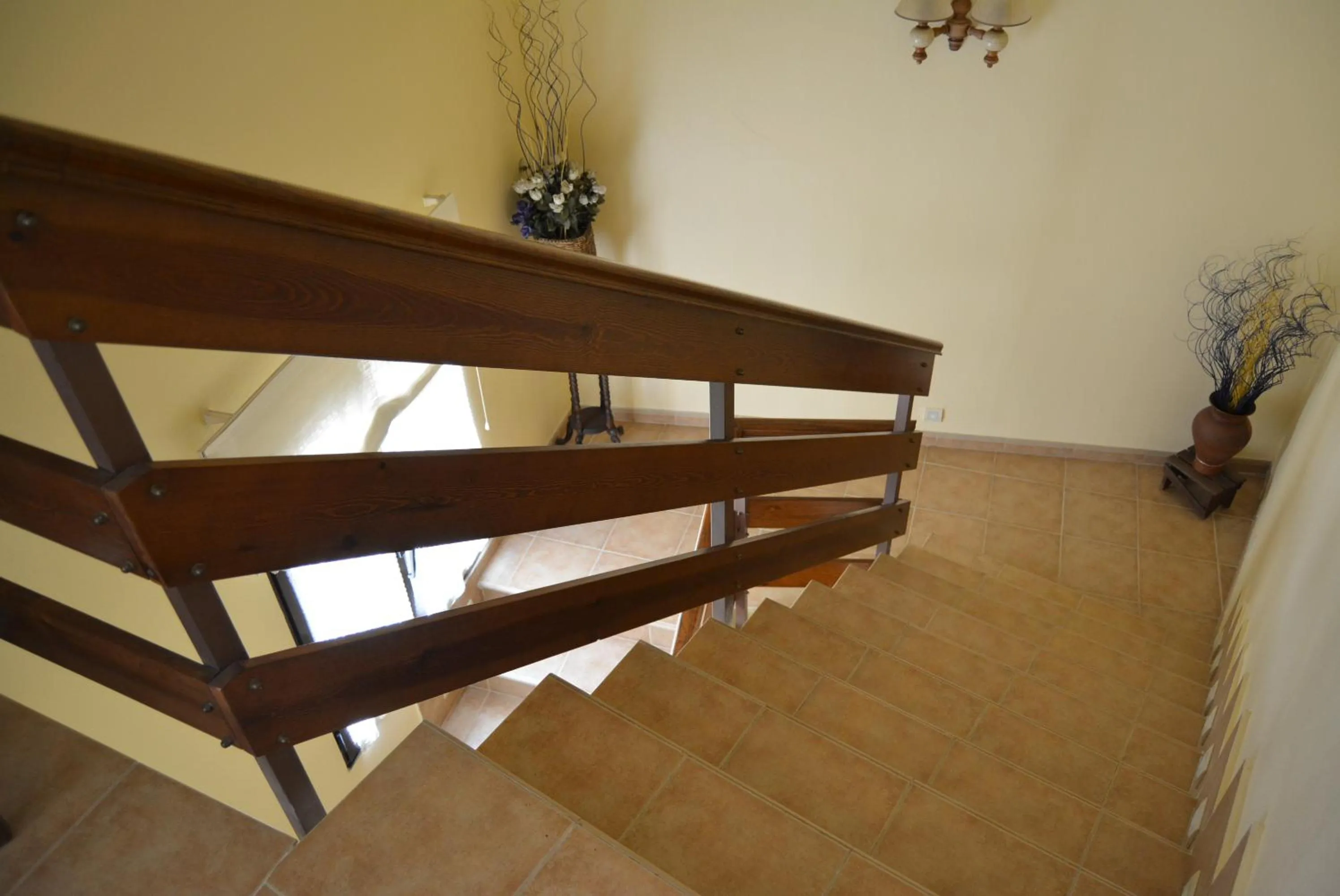 Area and facilities in Hotel Mayno