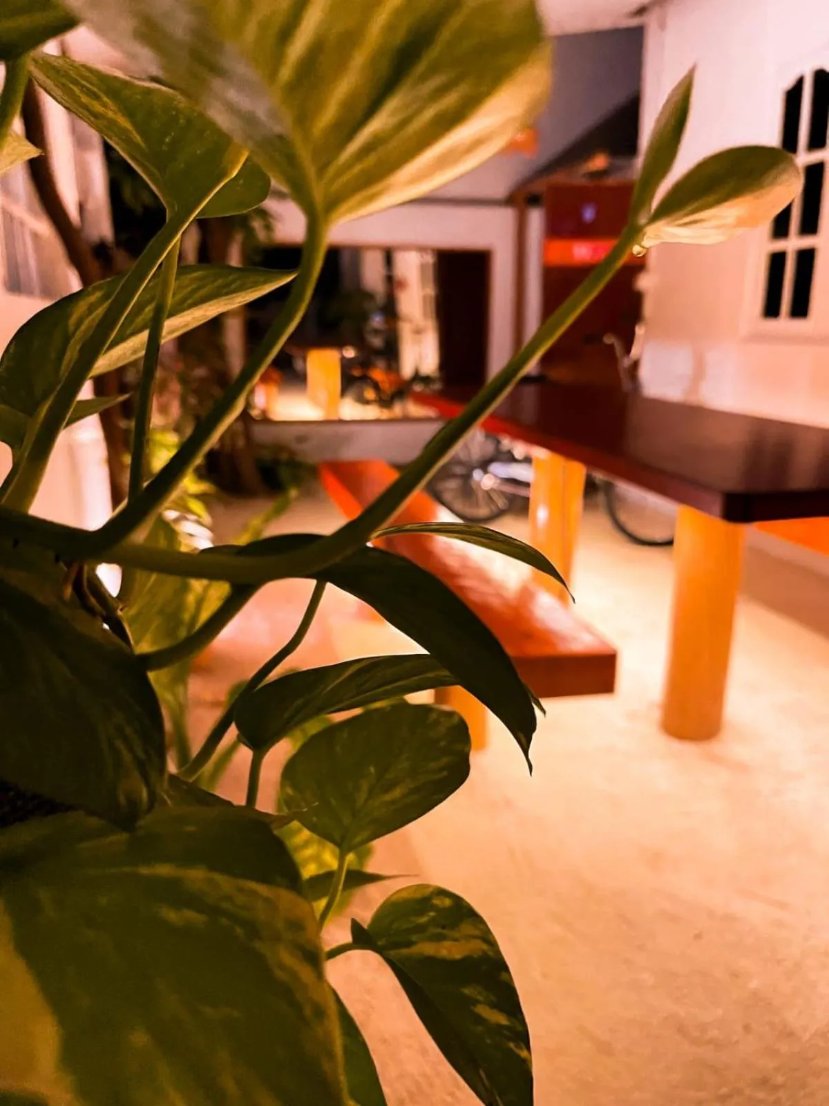 Property building in Bahaaru Villa Surf and Stay