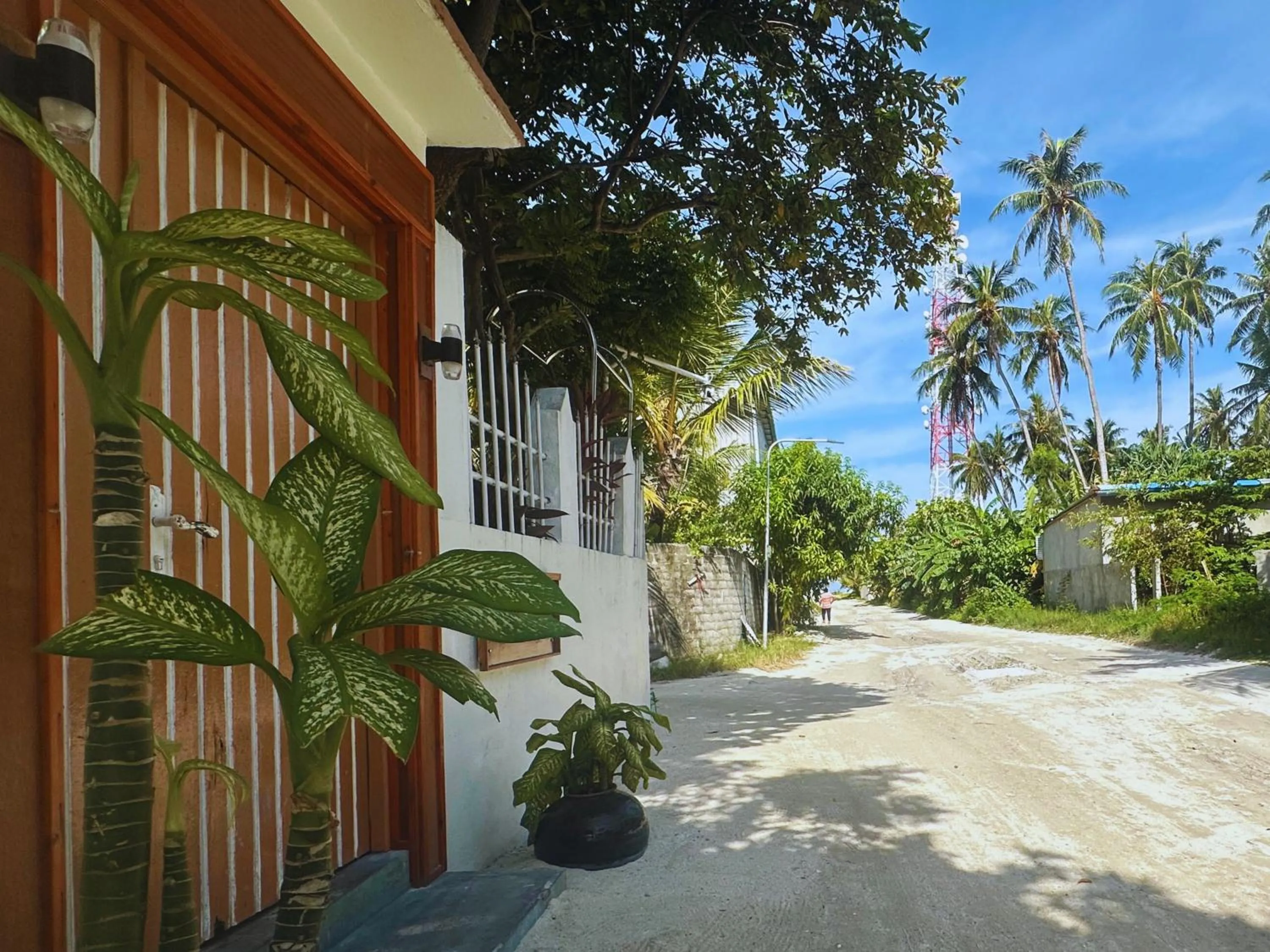 Facade/entrance in Bahaaru Villa Surf and Stay