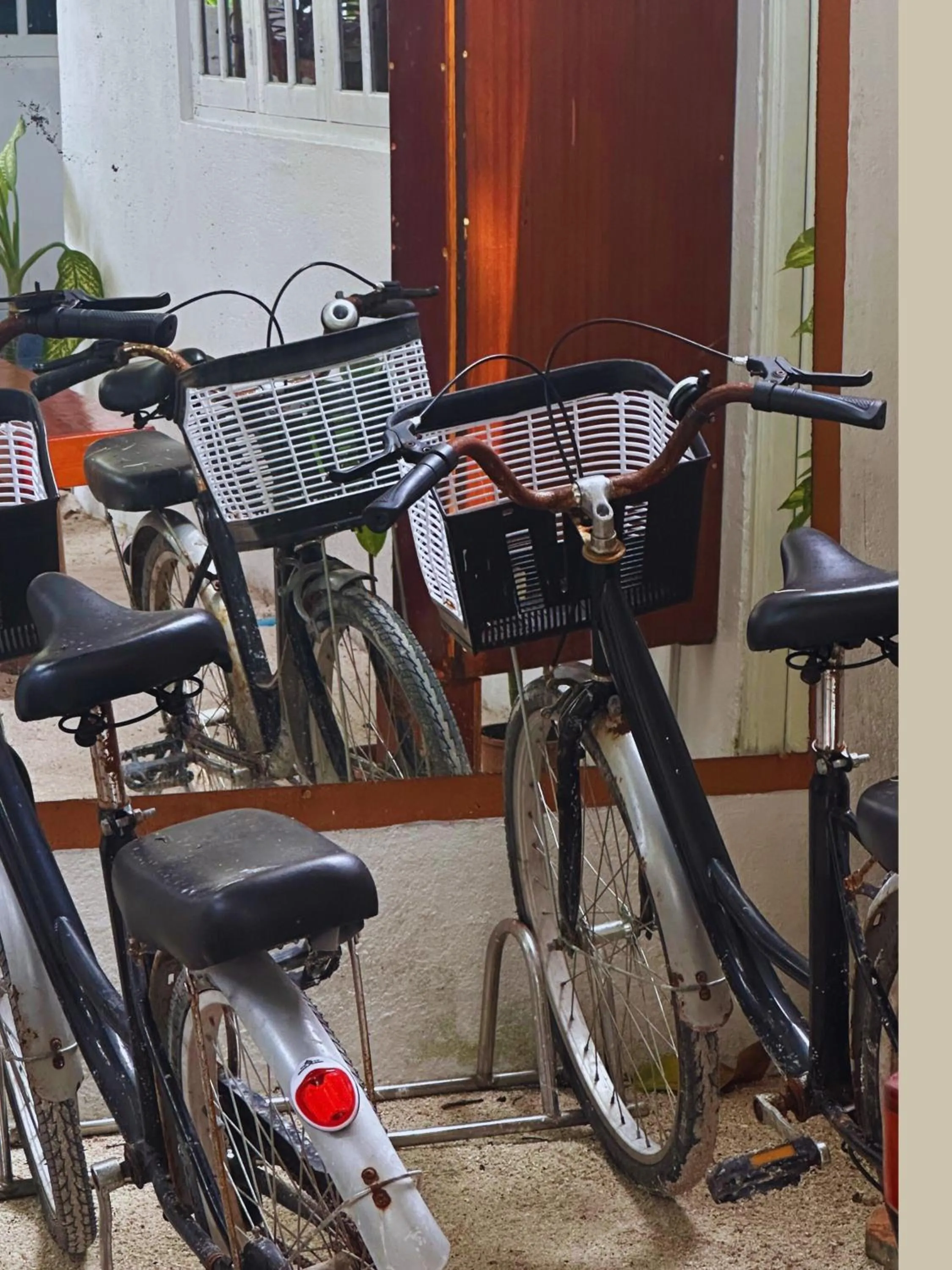 Activities in Bahaaru Villa Surf and Stay