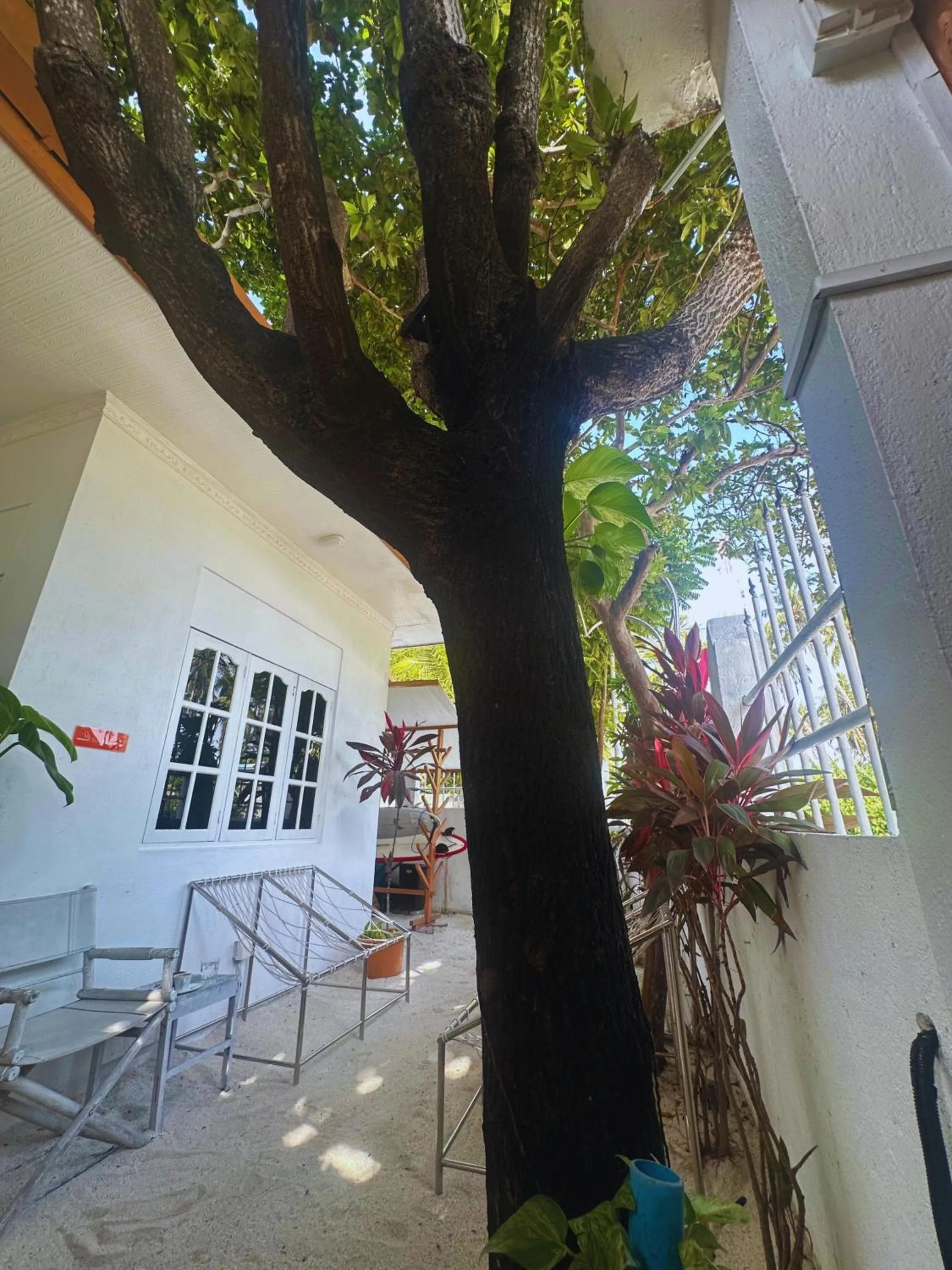 Lobby or reception in Bahaaru Villa Surf and Stay