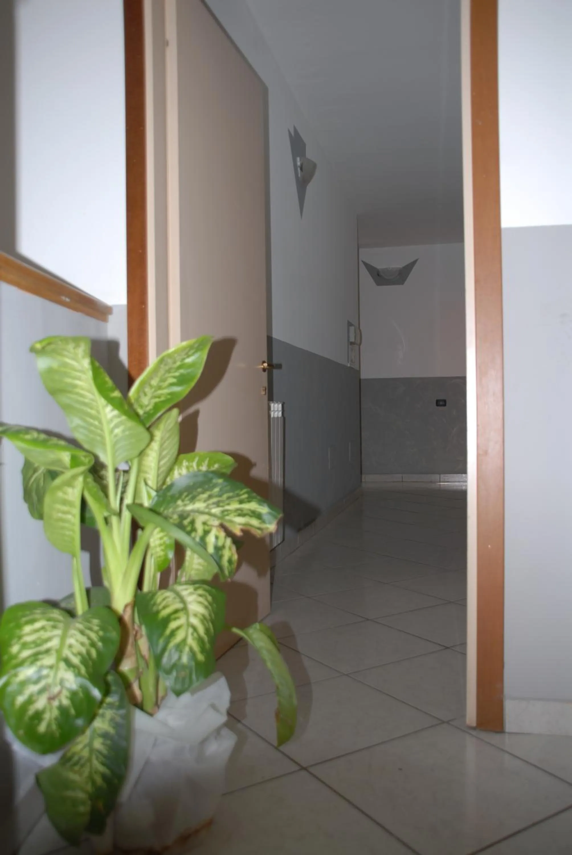 Decorative detail in Hotel Ristorante Il Calipso by Mago