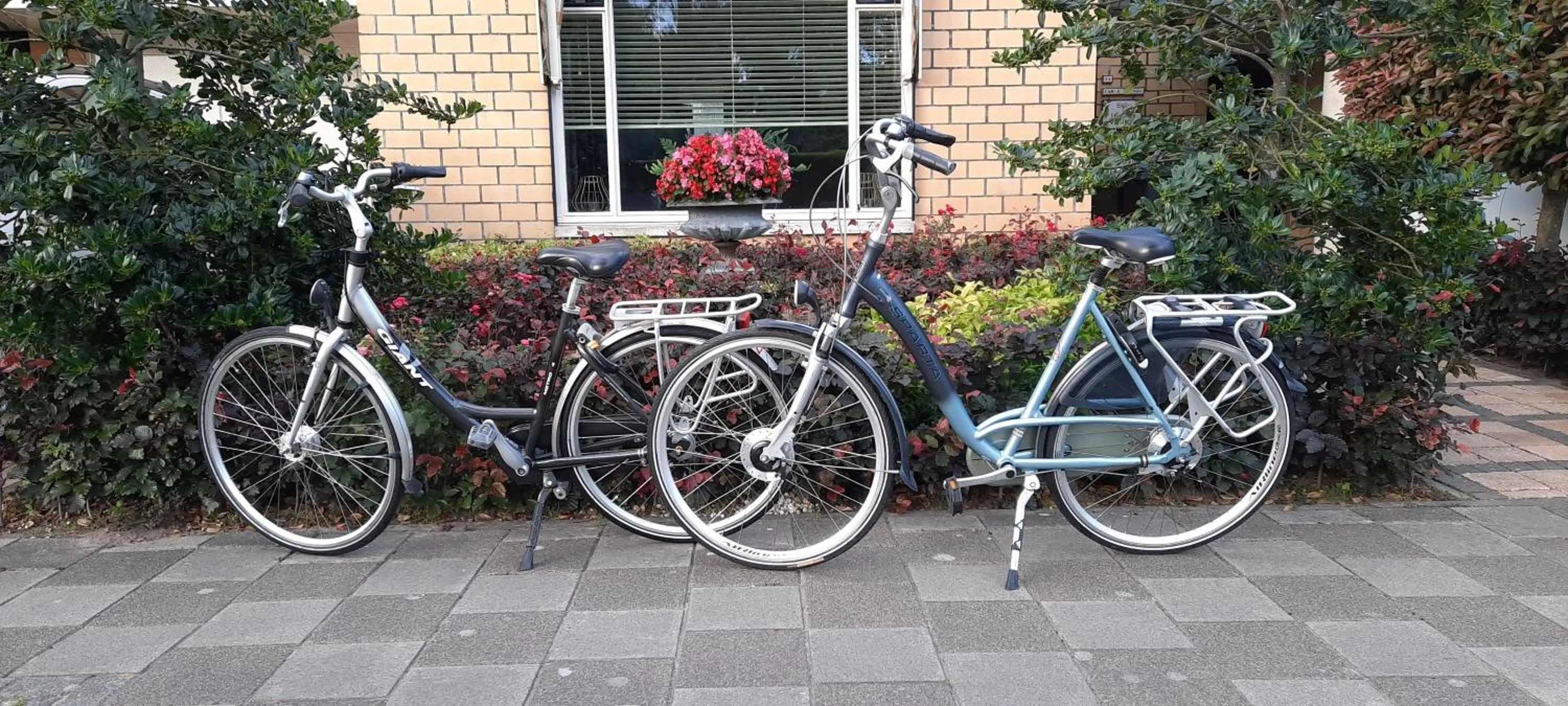 Cycling in B&B Le Bon Vivant Eindhoven