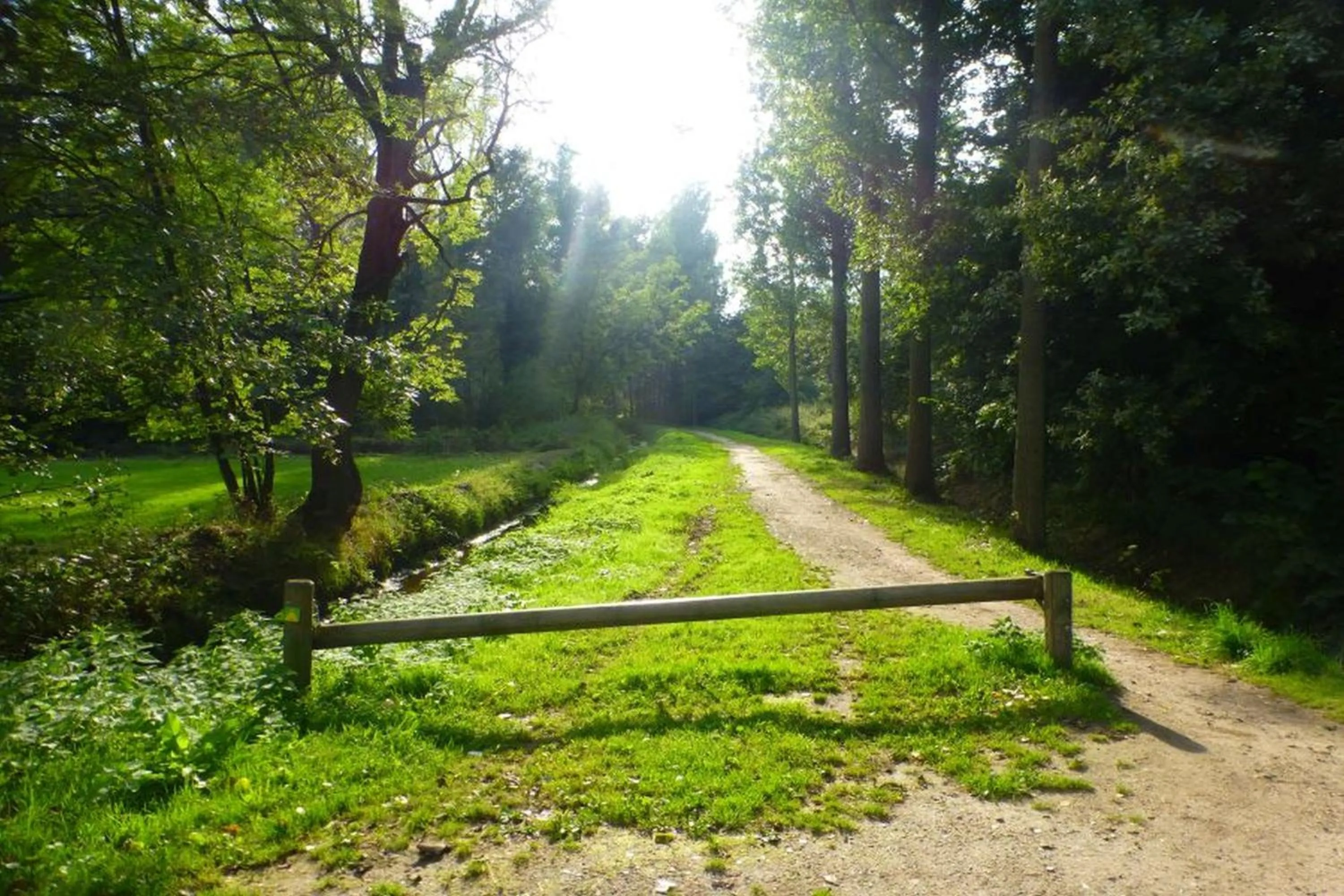 Area and facilities in B&B Le Bon Vivant Eindhoven