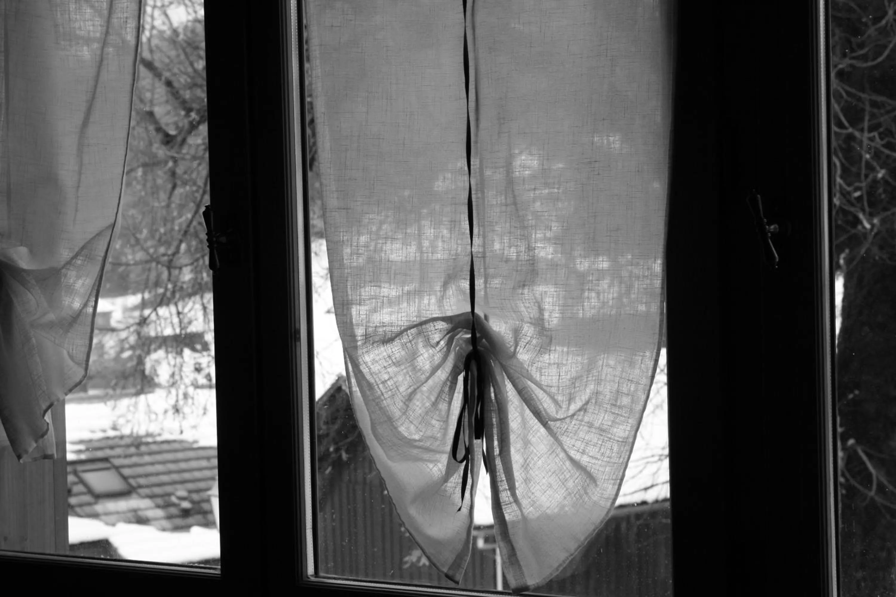 Decorative detail in Accueil Savoyard