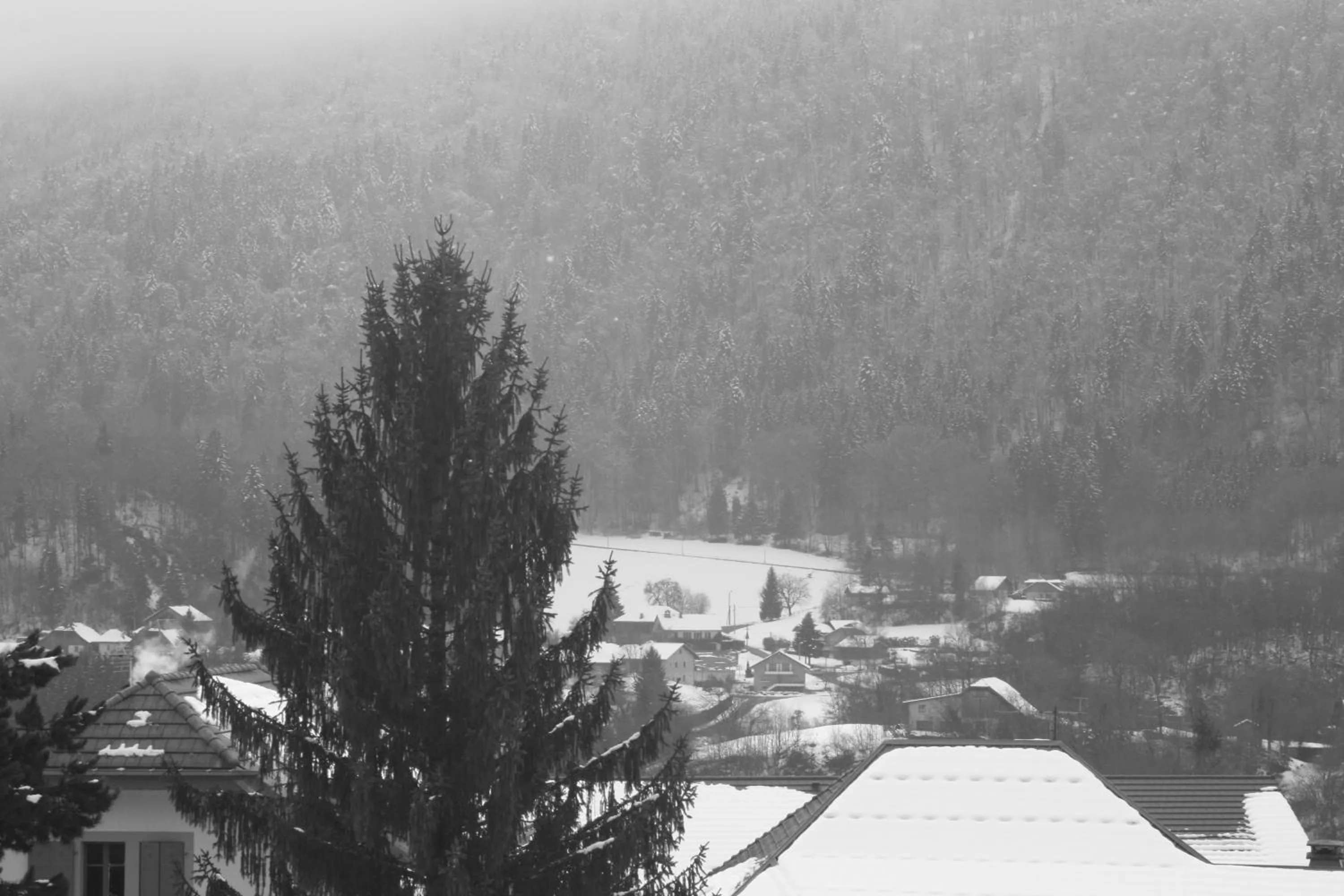 View (from property/room) in Accueil Savoyard