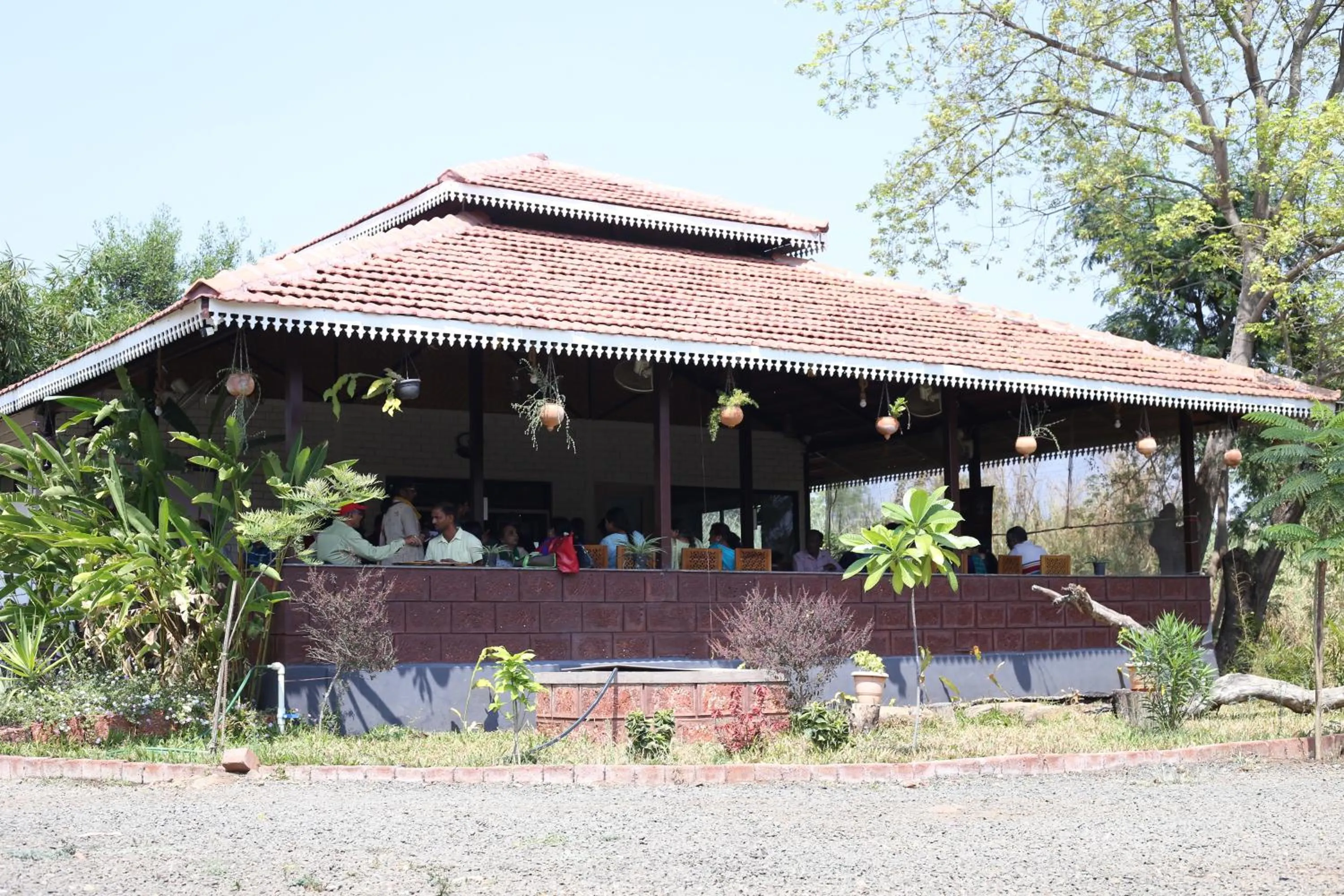 Tapasya Health & Wellness