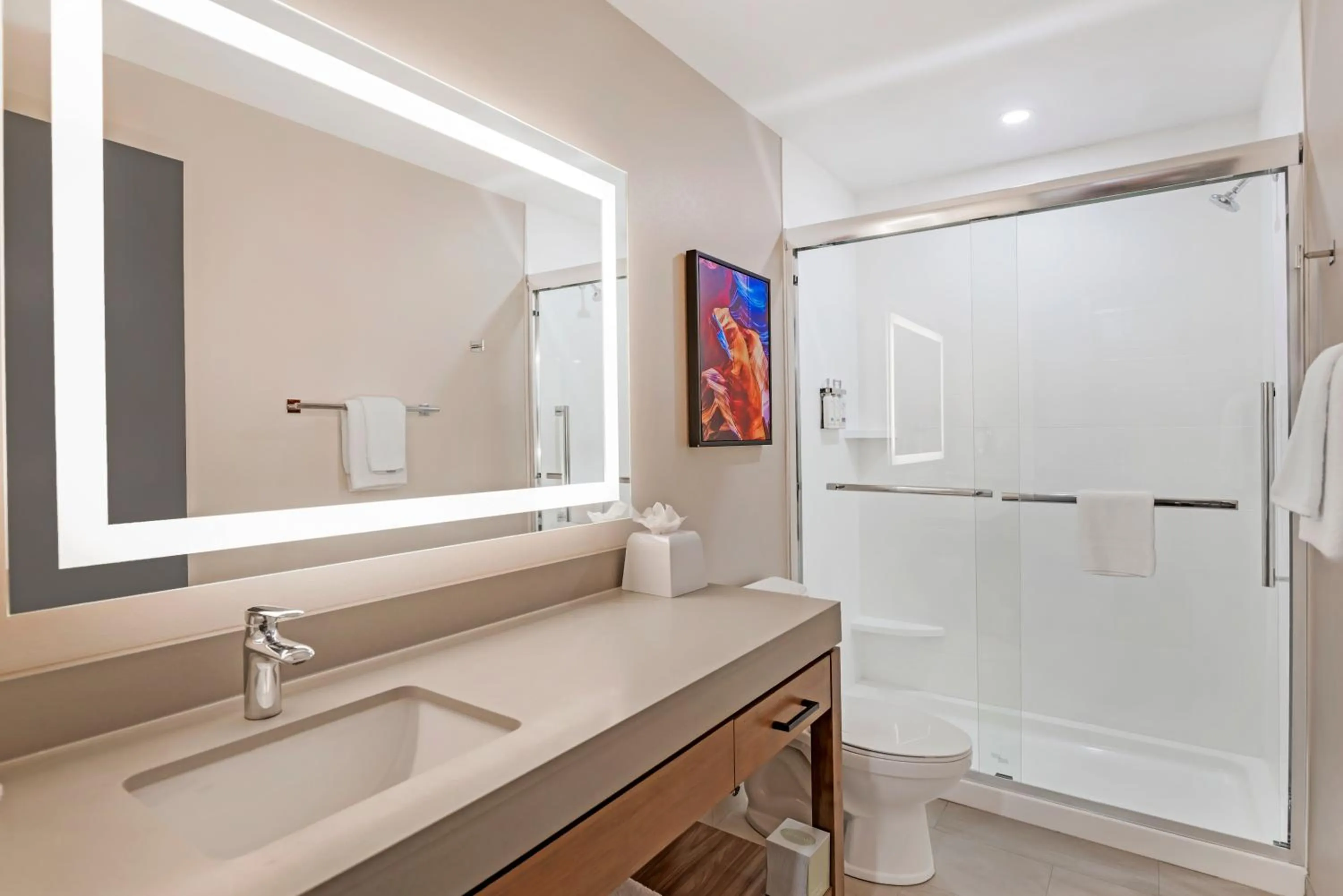 Shower in Candlewood Suites Chester - Richmond by IHG