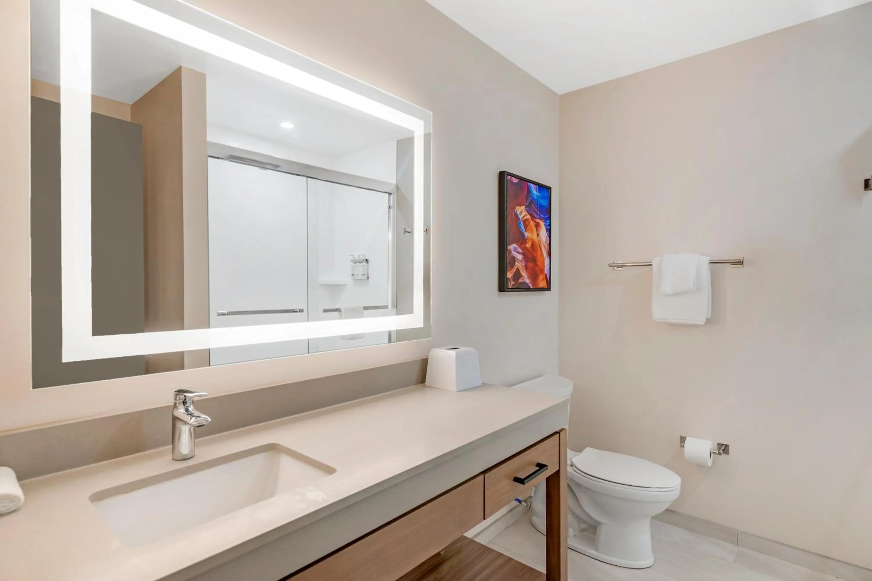 Shower in Candlewood Suites Chester - Richmond by IHG