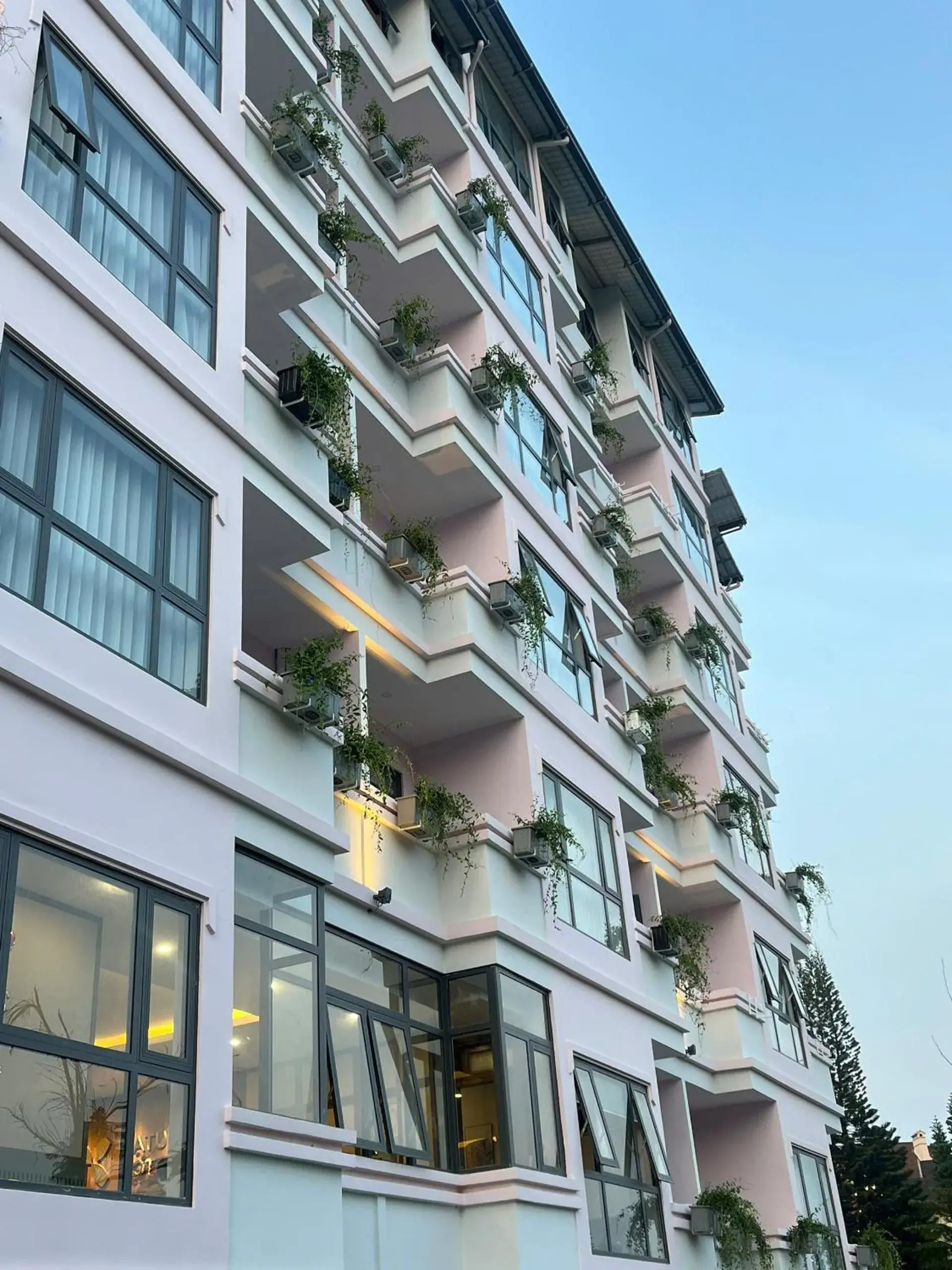 Property building in Nature Hotel - Le Hong Phong Property building in Nature Hotel - Le Hong Phong