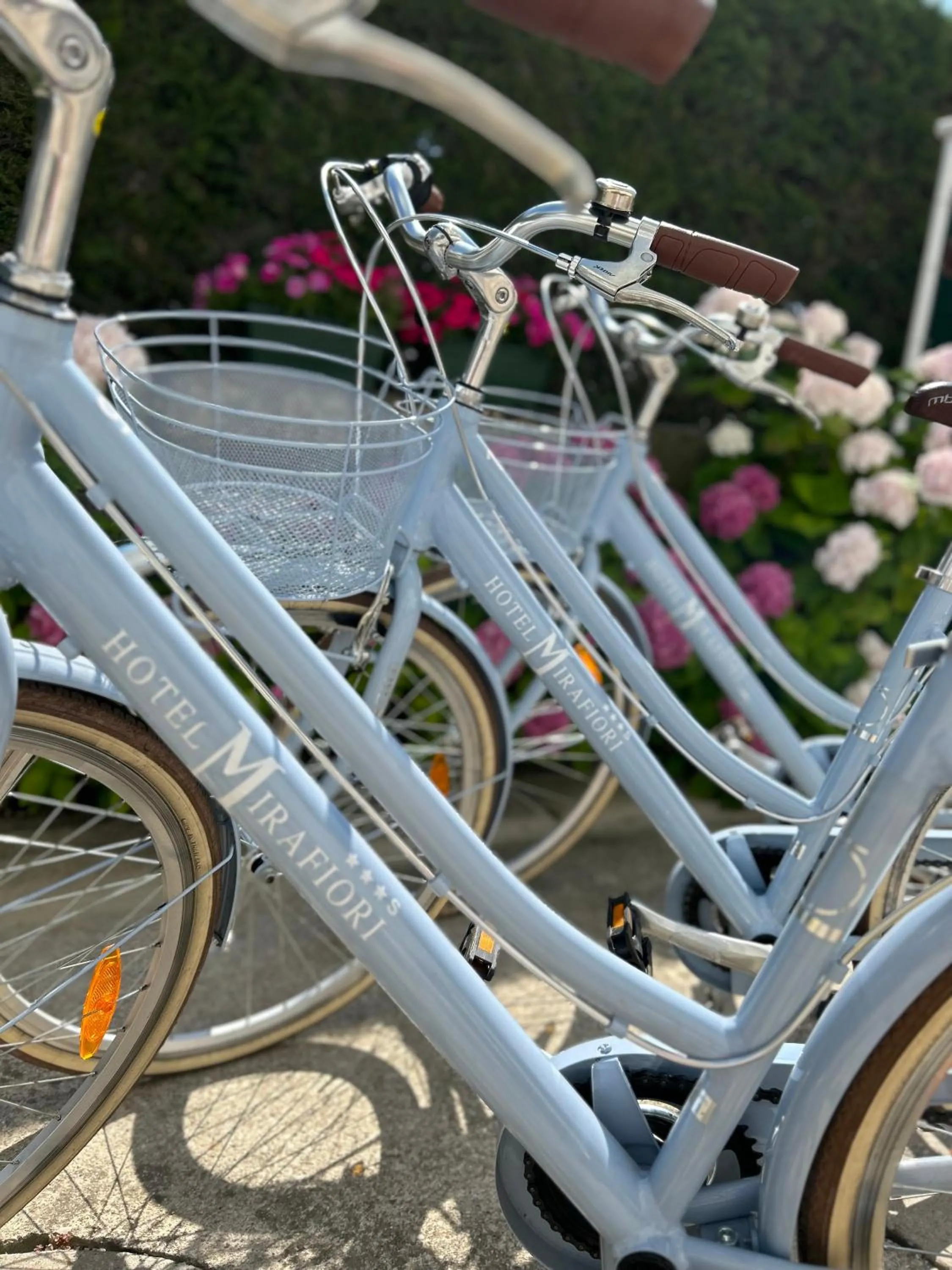 Cycling in Hotel Mirafiori