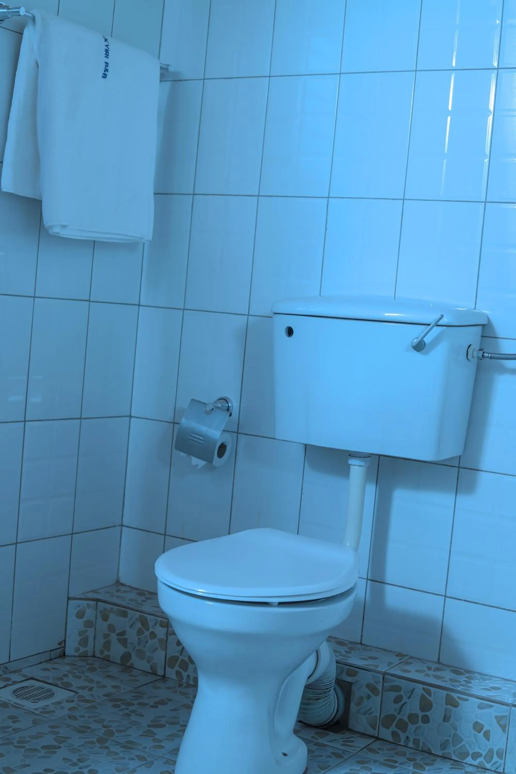 Toilet in Hakyiri B&B