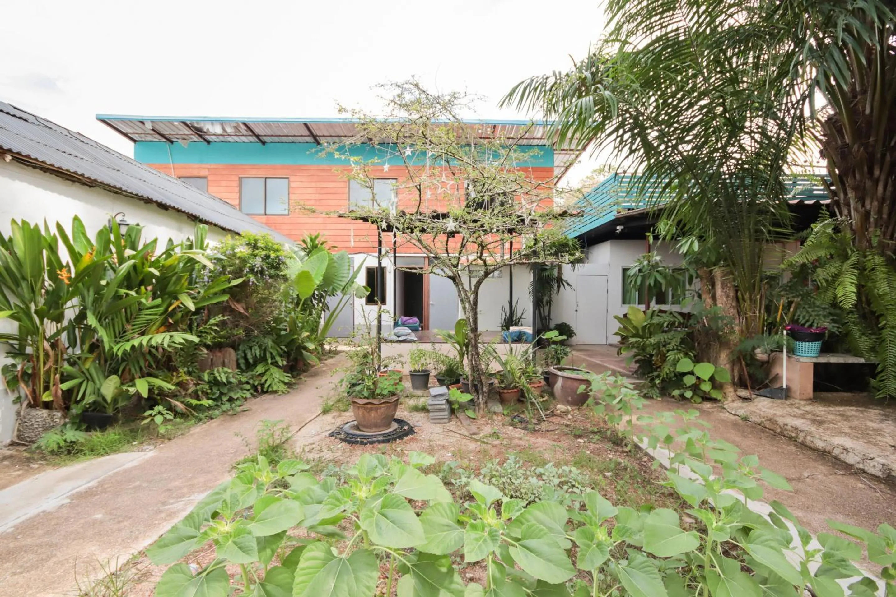 Garden, Property Building in OYO 1163 Eden Hostel