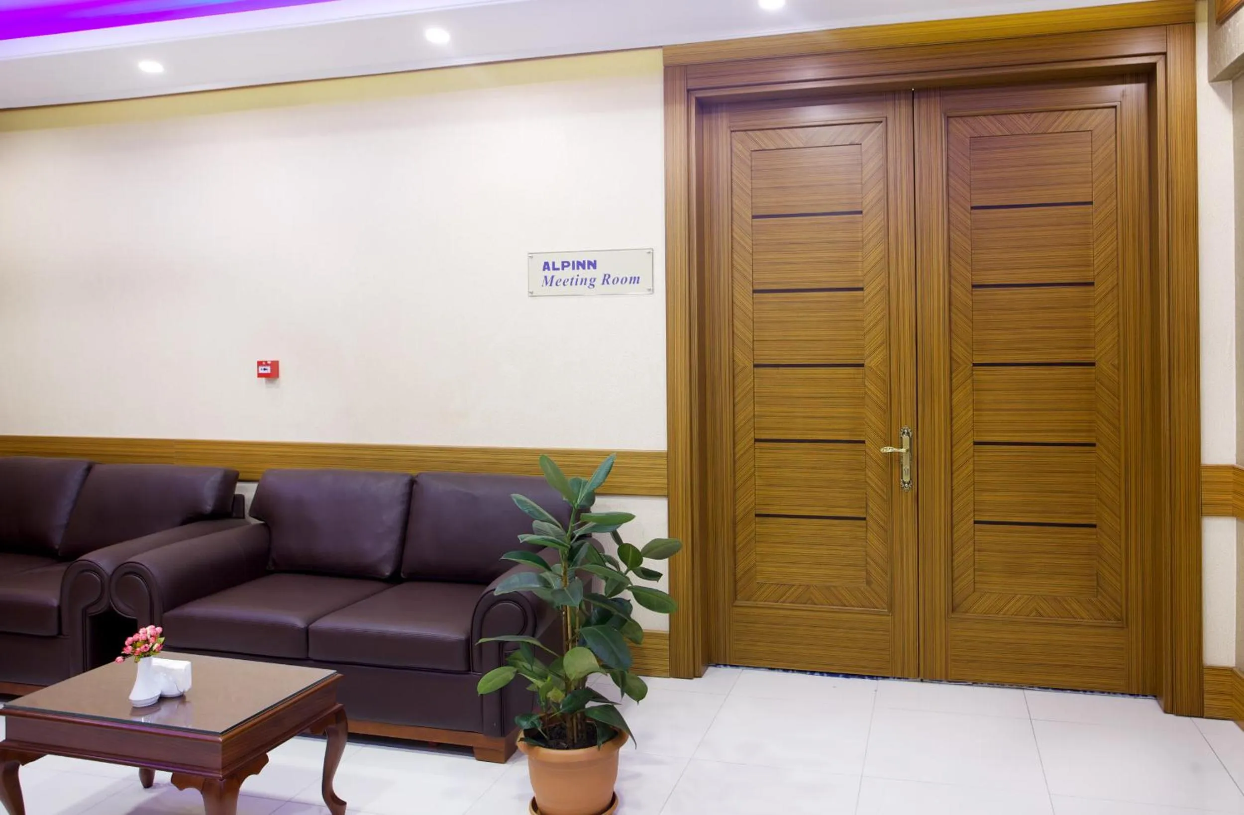 Business facilities in Alpinn Hotel Istanbul