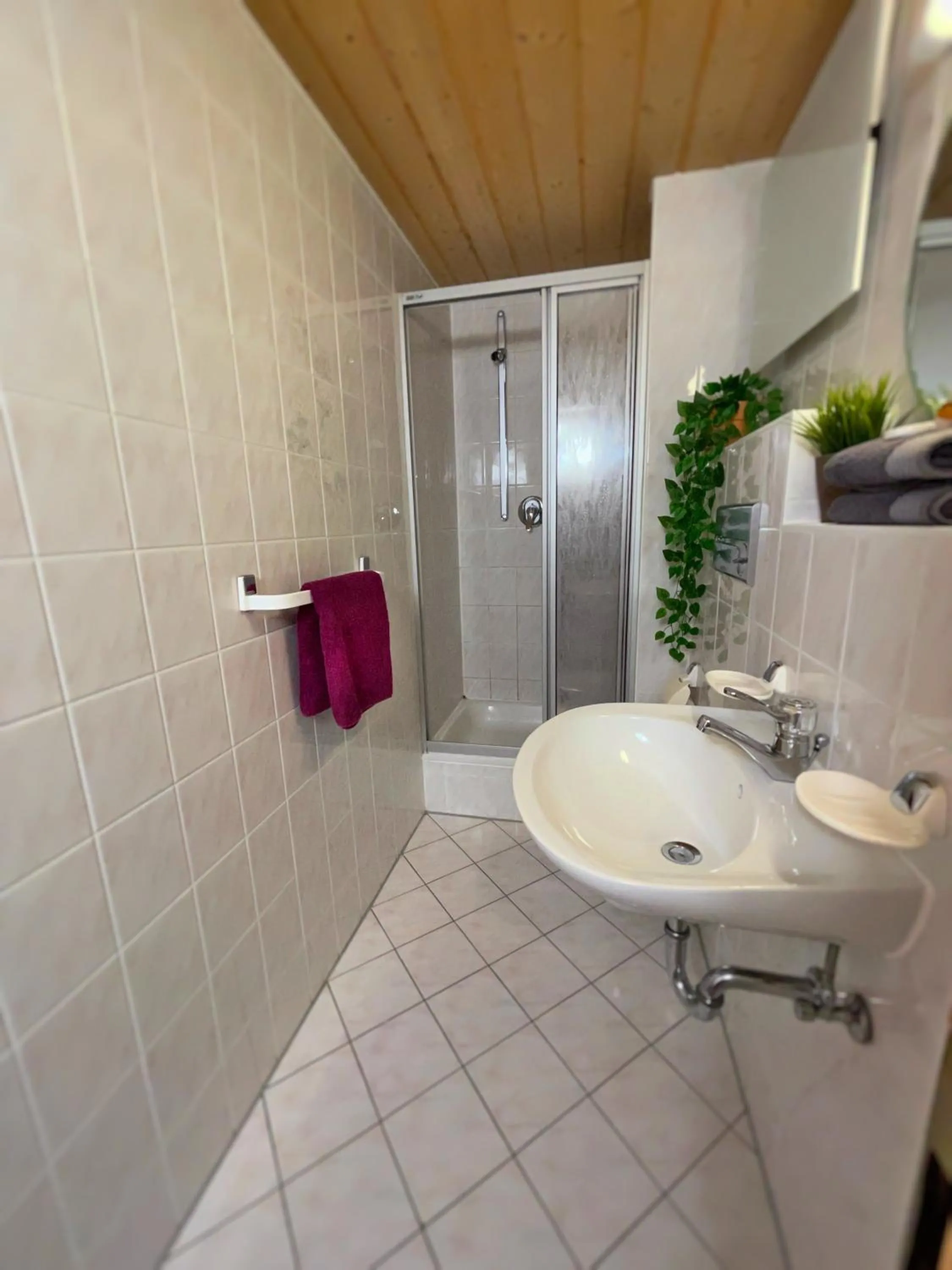 Bathroom in Pension Loiplstüberl