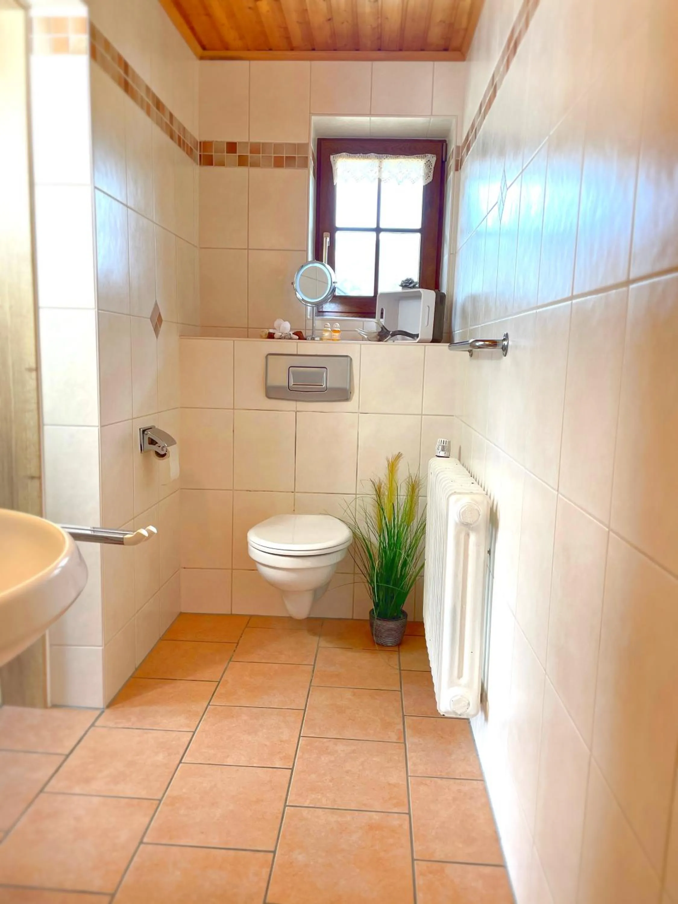 Bathroom in Pension Loiplstüberl