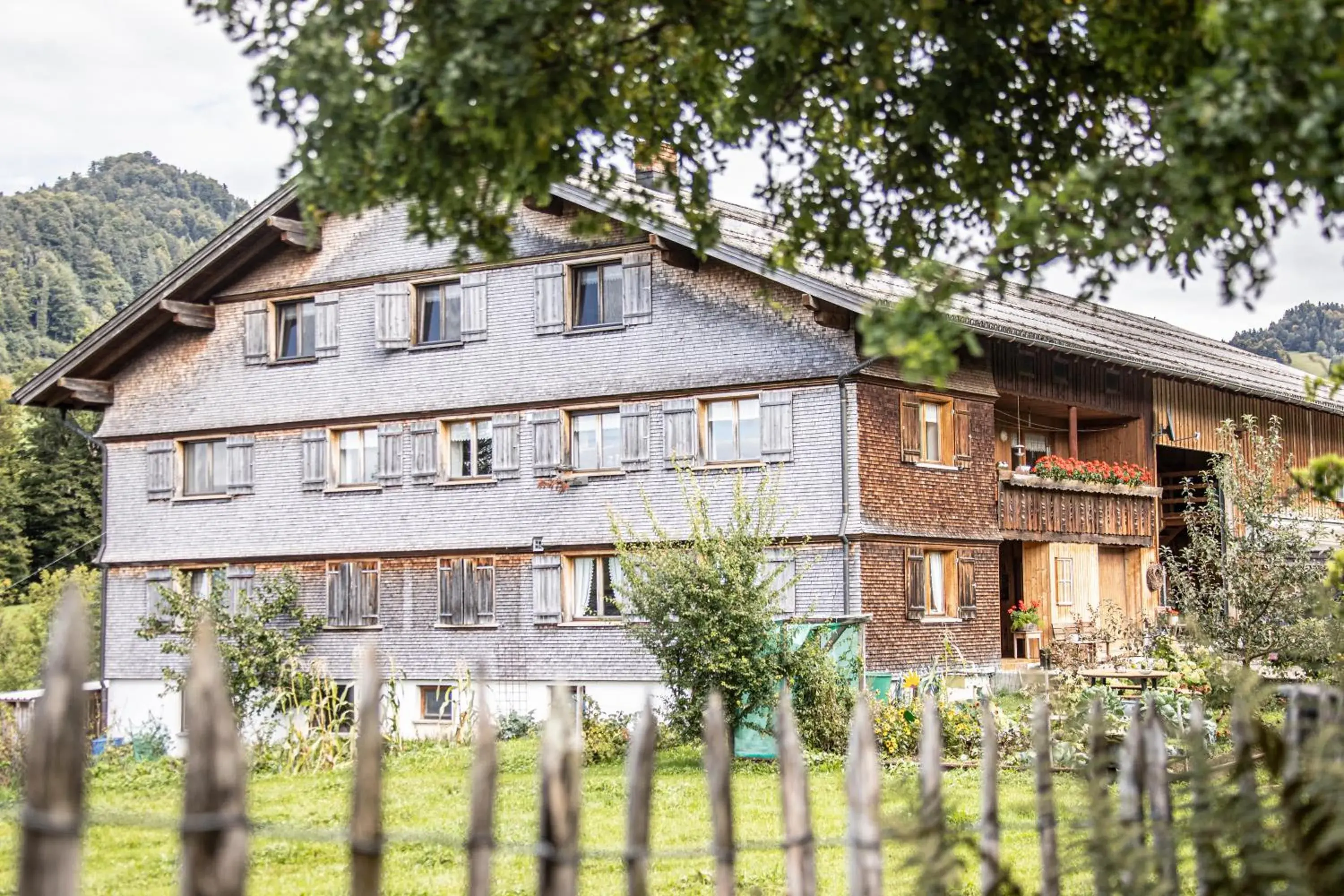 Bauernhof Hammerer Bauernhof Hammerer